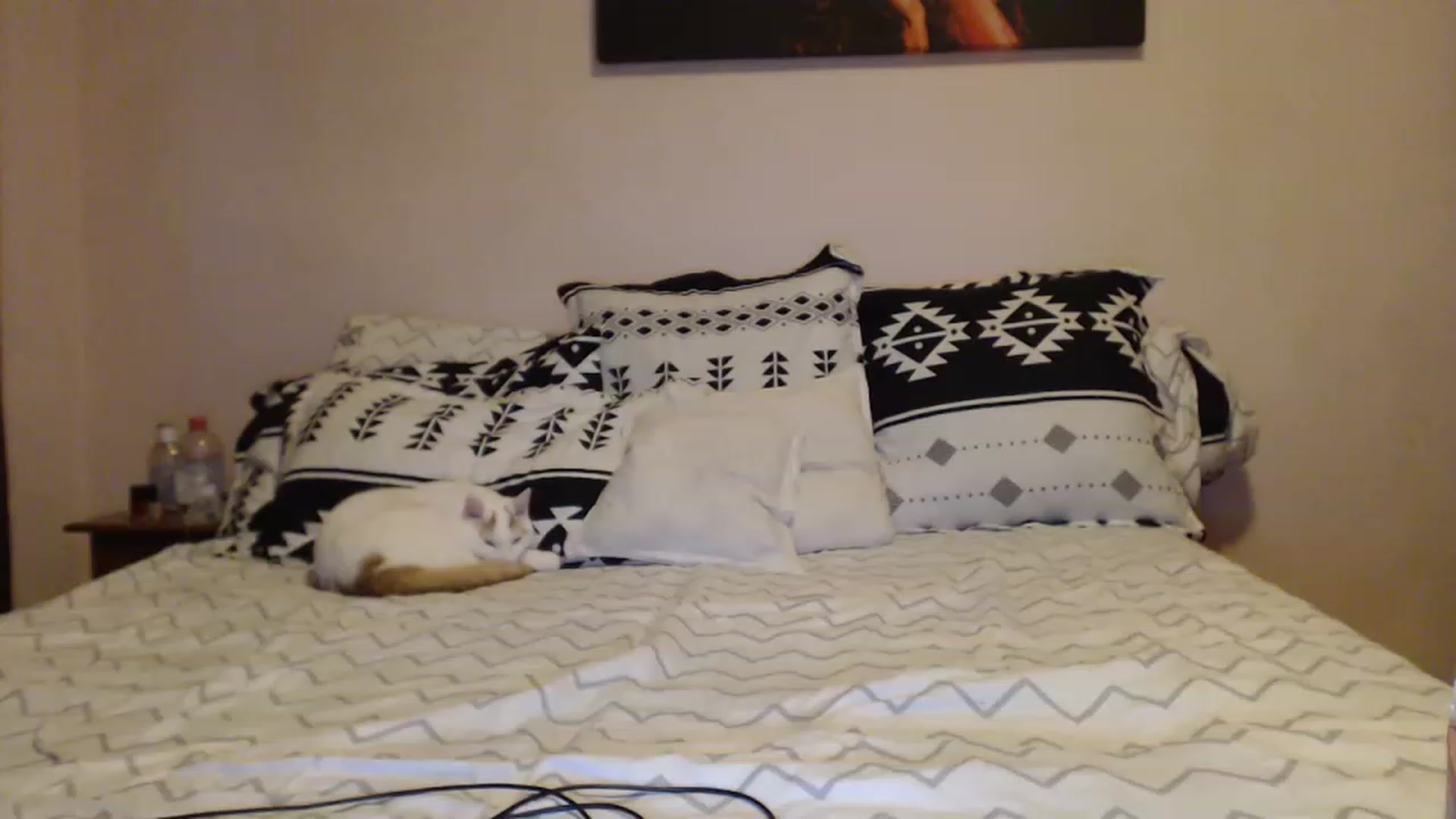 Gallery image thumbnail from Aahh_Emilia's myfreecams stream on, 02/25/2023, 15:58 image 14 of 20