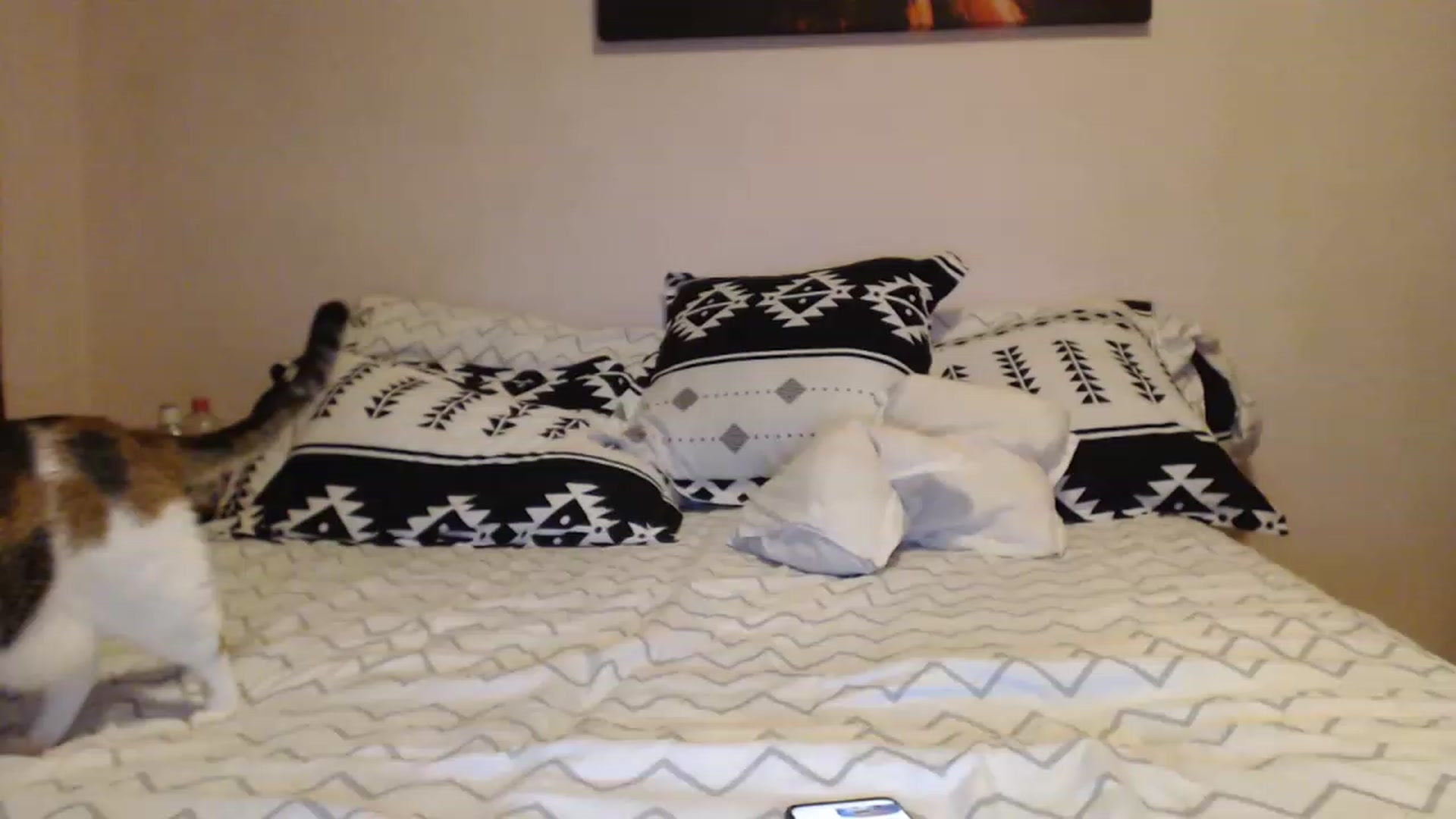 Gallery image thumbnail from Aahh_Emilia's myfreecams stream on, 02/25/2023, 18:14 image 20 of 20