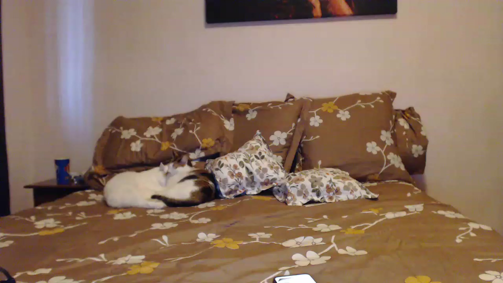 Gallery image thumbnail from Aahh_Emilia's myfreecams stream on, 03/02/2023, 15:59 image 4 of 20