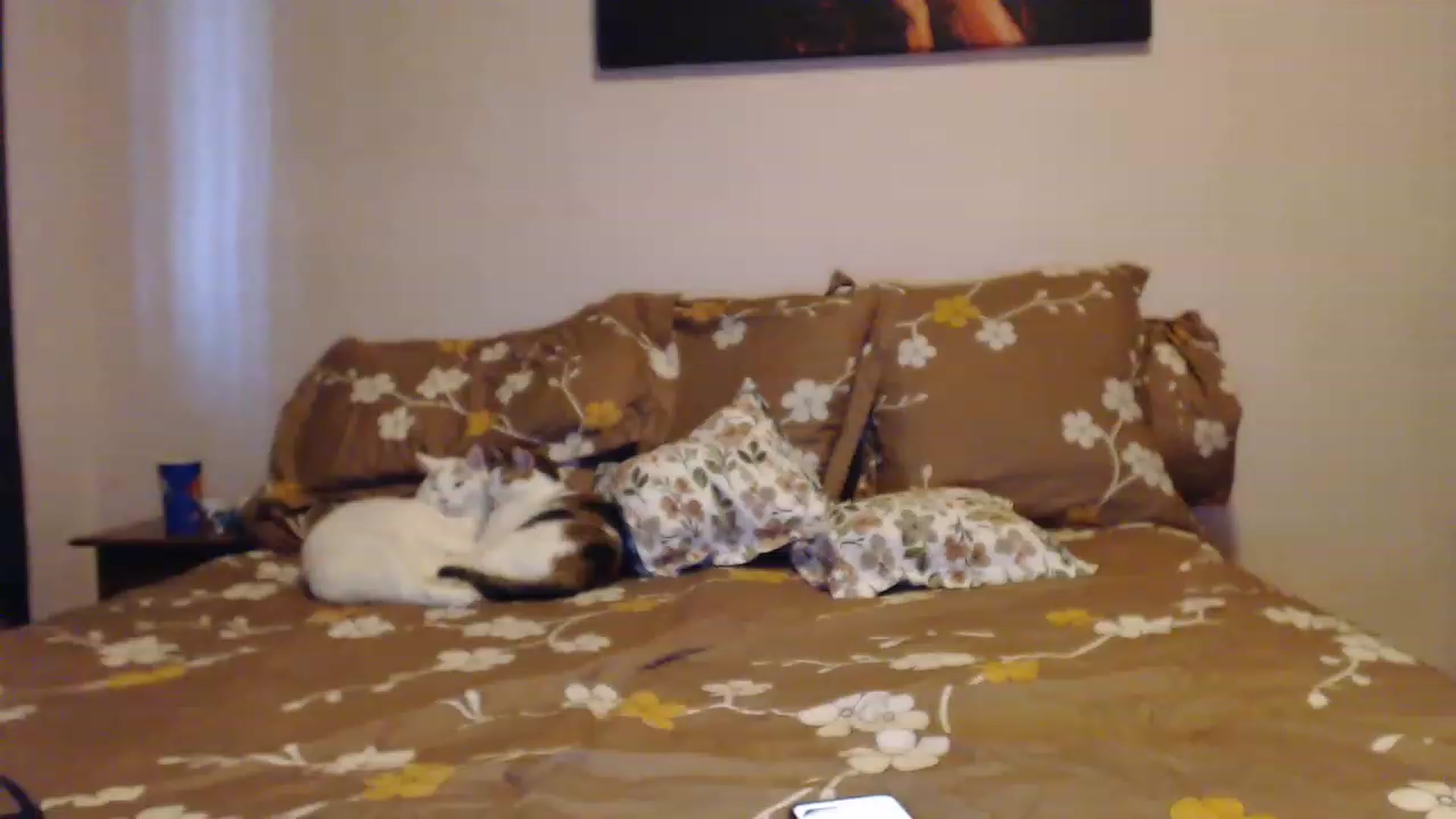 Gallery image thumbnail from Aahh_Emilia's myfreecams stream on, 03/02/2023, 15:59 image 1 of 20