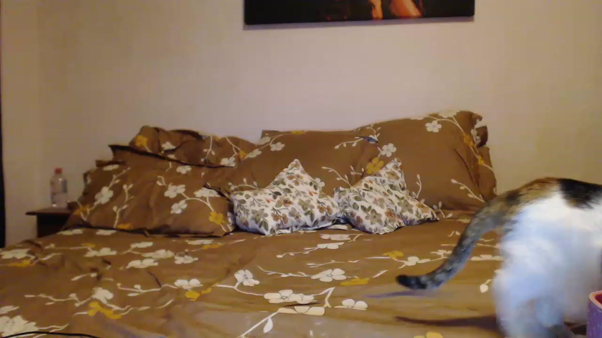 Gallery image thumbnail from Aahh_Emilia's myfreecams stream on, 03/03/2023, 18:12 image 9 of 20