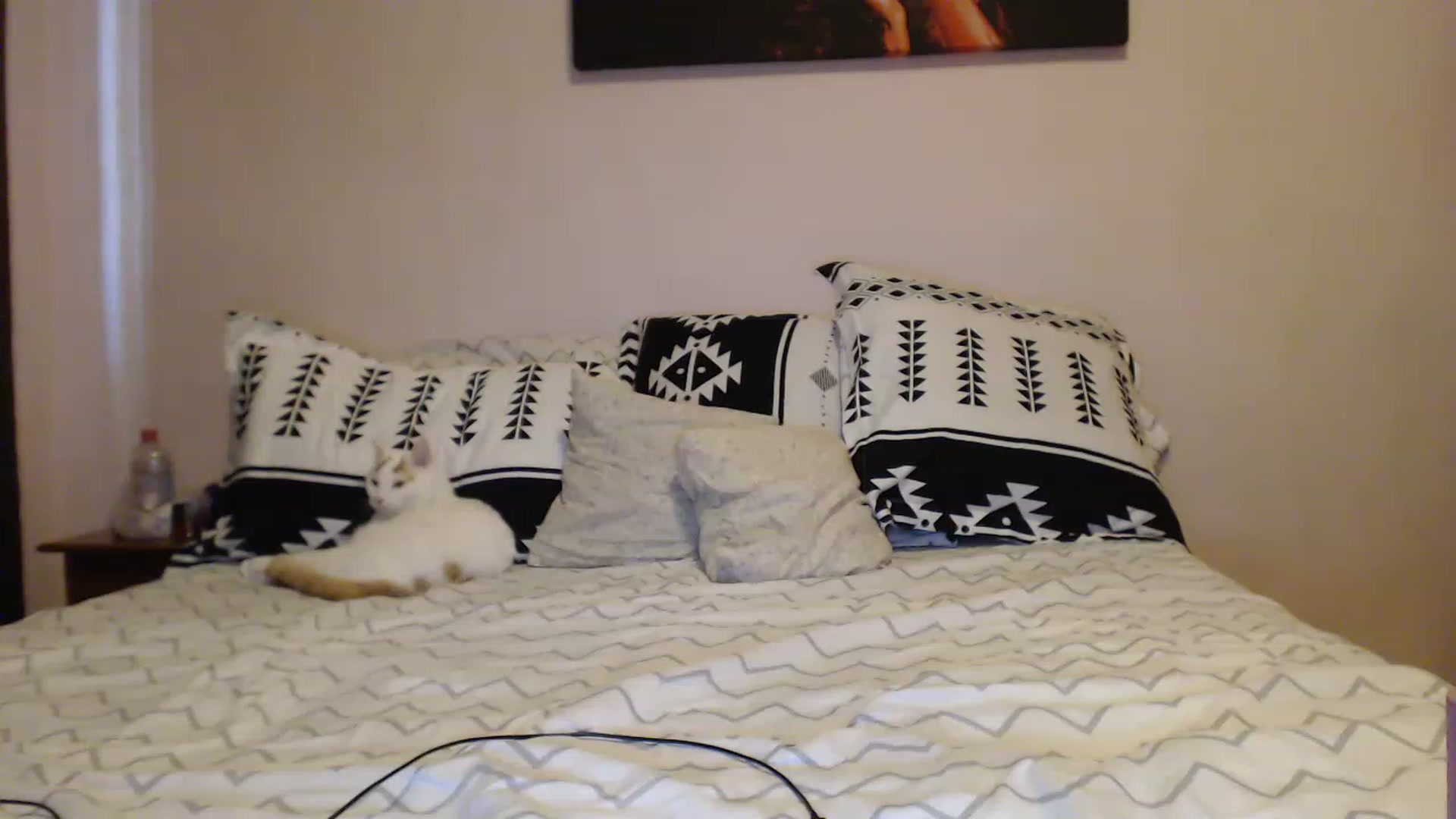 Gallery image thumbnail from Aahh_Emilia's myfreecams stream on, 03/17/2023, 15:27 image 8 of 20