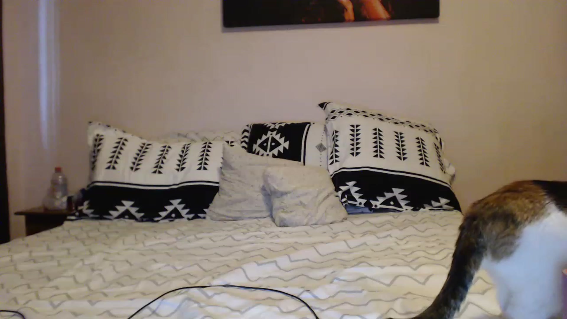 Gallery image thumbnail from Aahh_Emilia's myfreecams stream on, 03/17/2023, 15:27 image 11 of 20