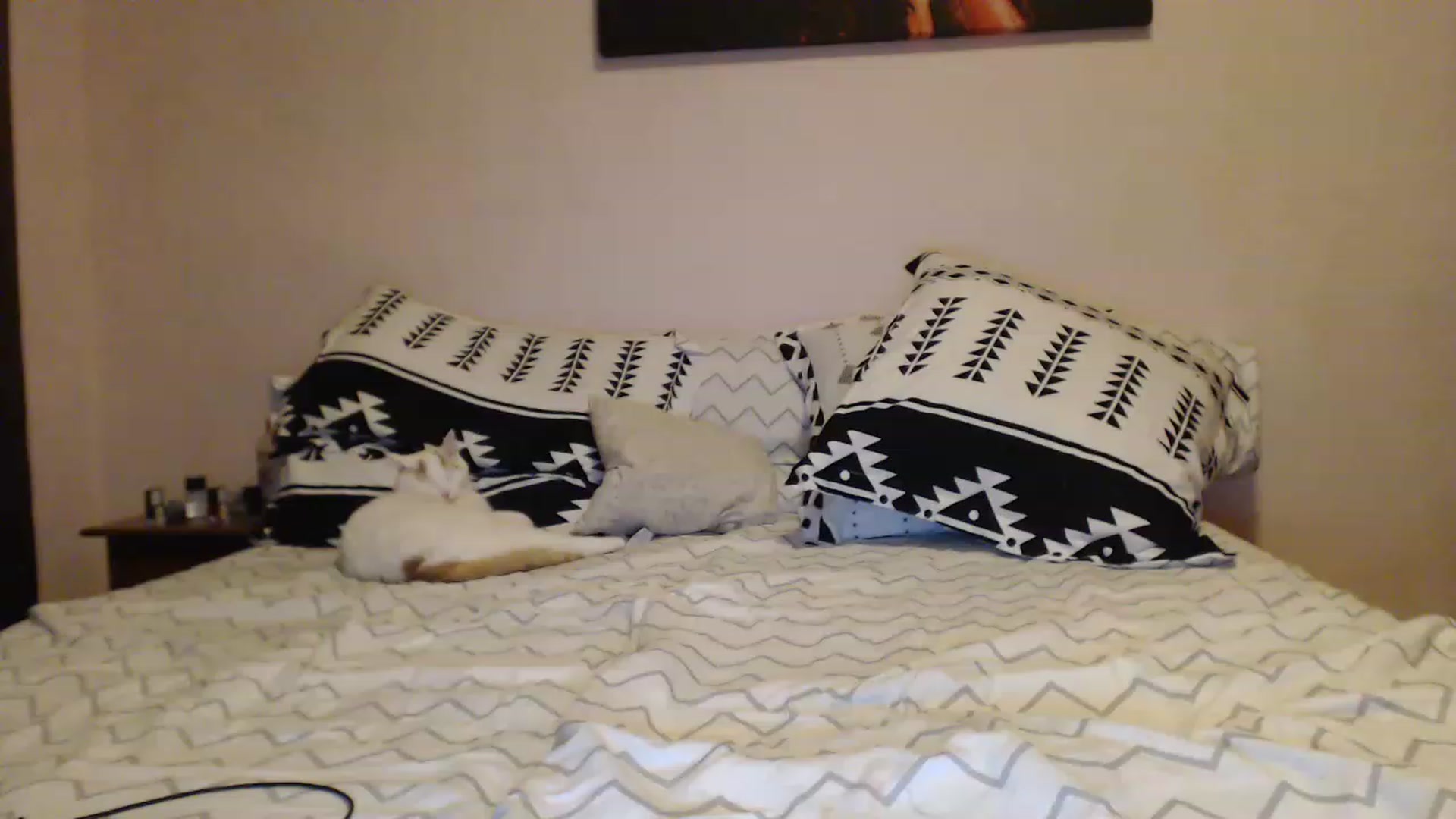 Gallery image thumbnail from Aahh_Emilia's myfreecams stream on, 03/19/2023, 18:10 image 15 of 20