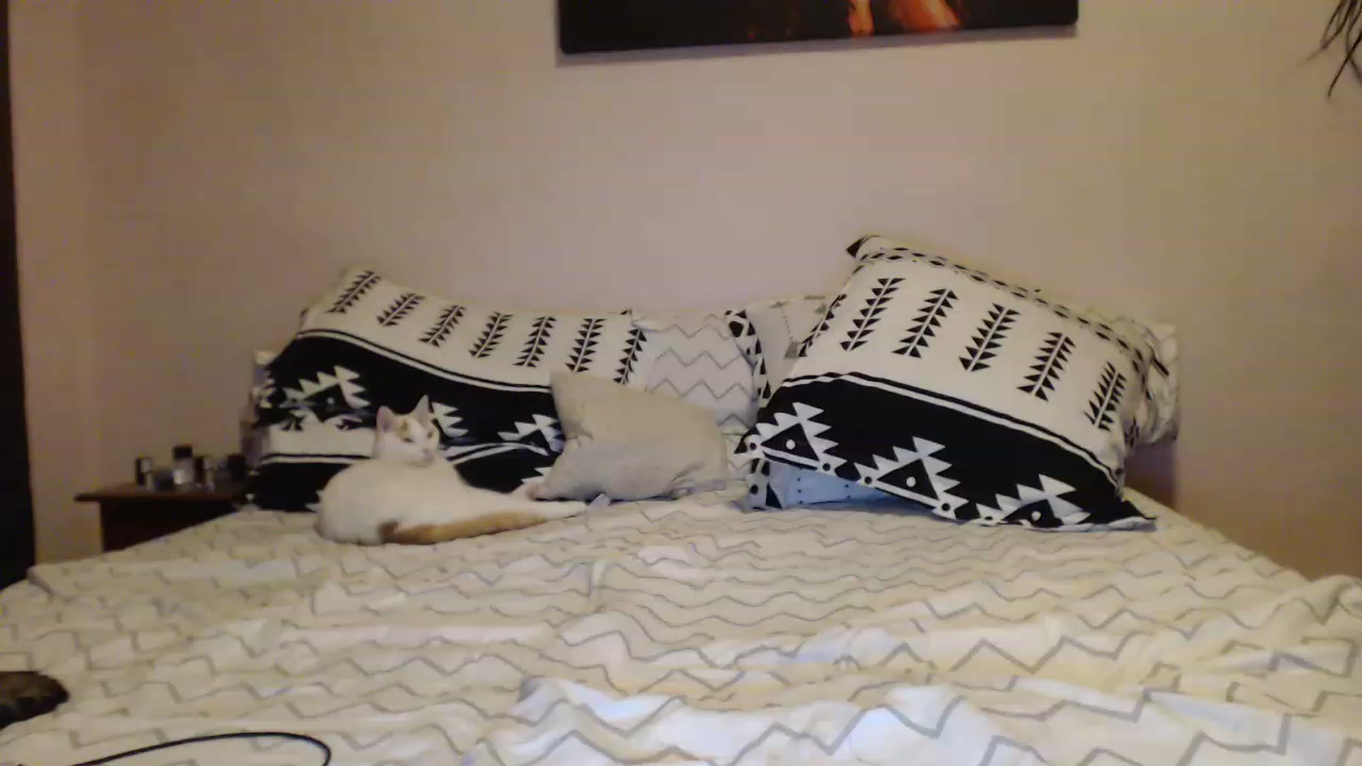 Gallery image thumbnail from Aahh_Emilia's myfreecams stream on, 03/19/2023, 18:10 image 13 of 20