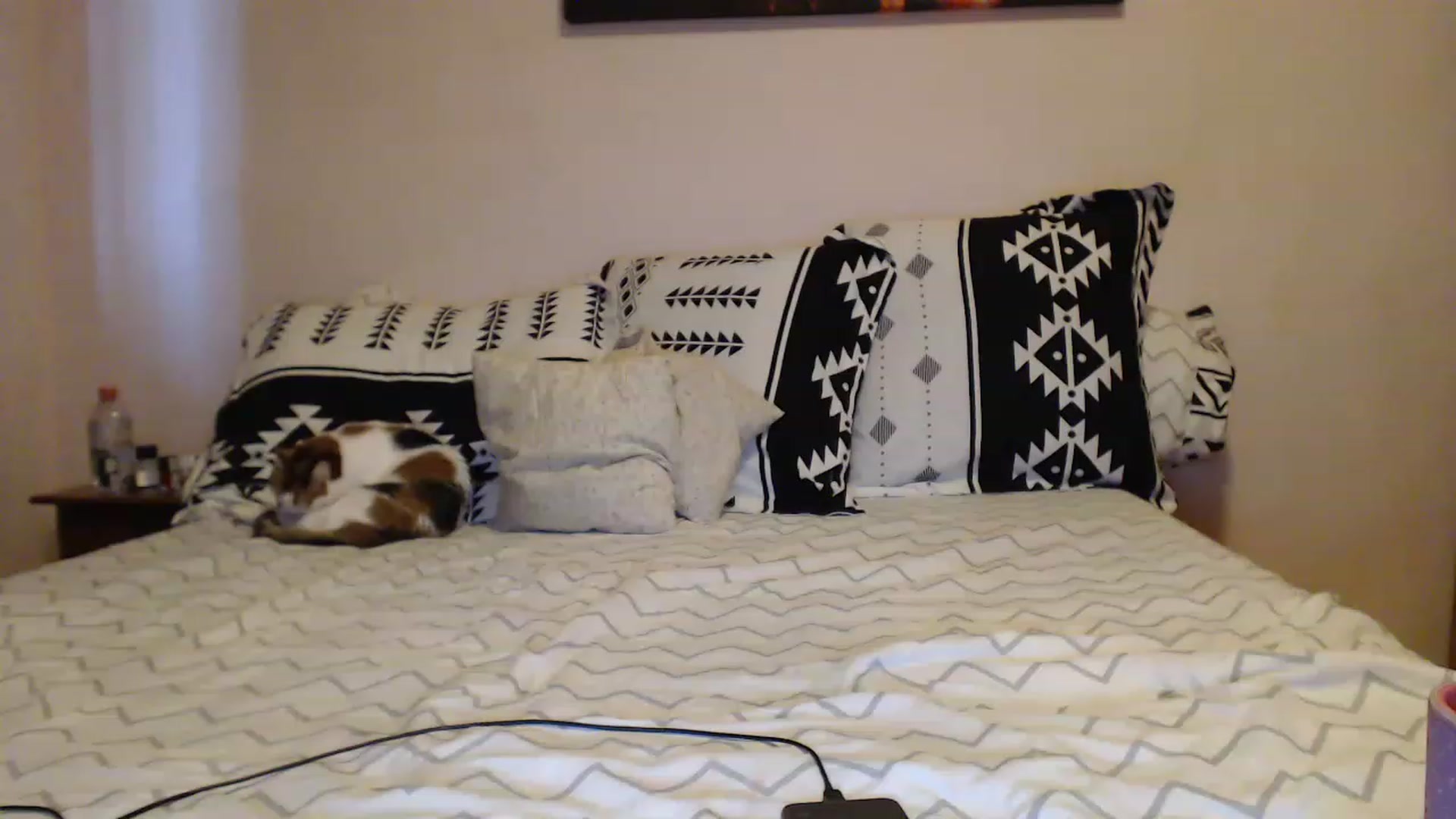 Gallery image thumbnail from Aahh_Emilia's myfreecams stream on, 03/20/2023, 15:42 image 17 of 20