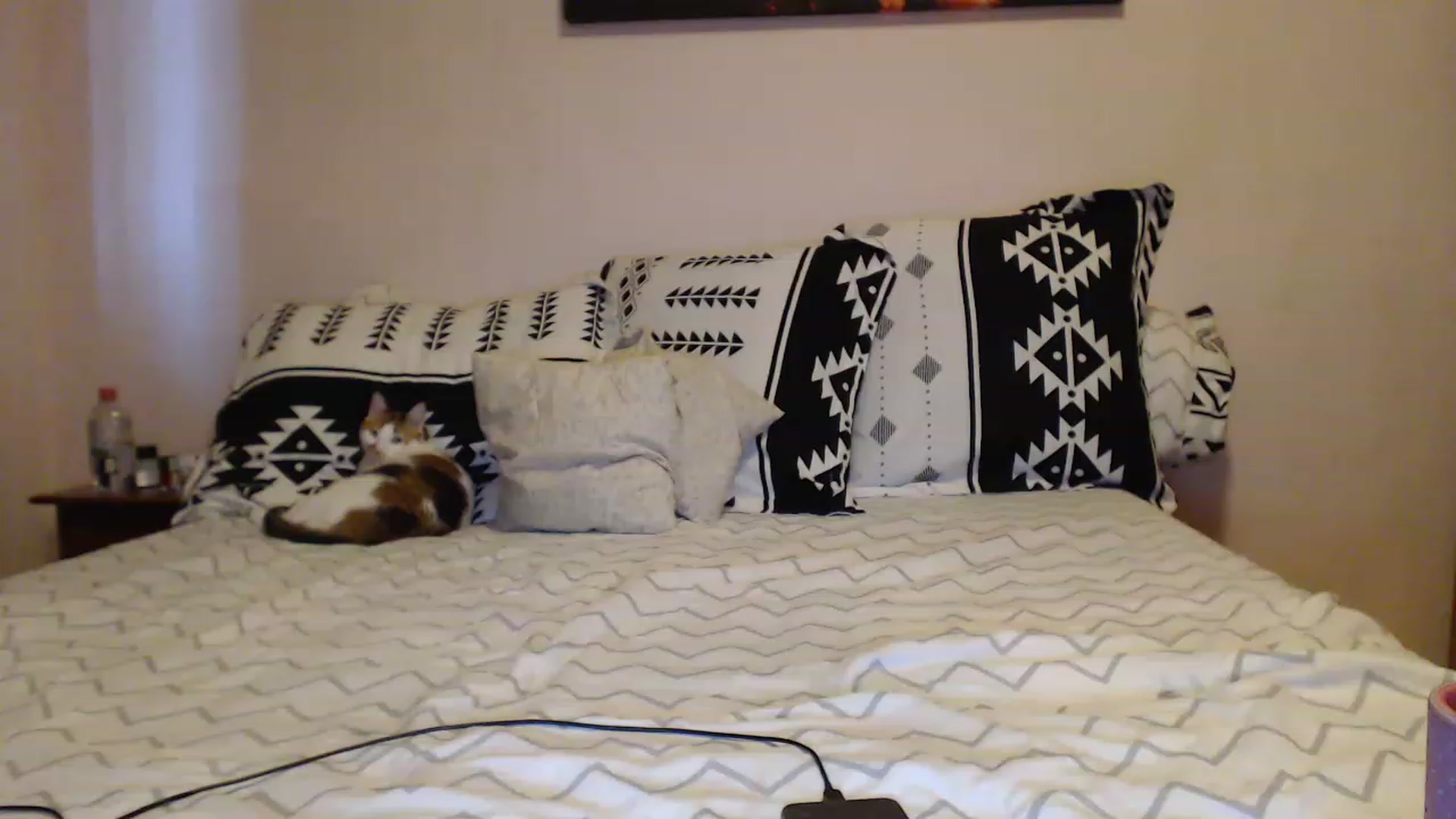 Gallery image thumbnail from Aahh_Emilia's myfreecams stream on, 03/20/2023, 15:42 image 18 of 20