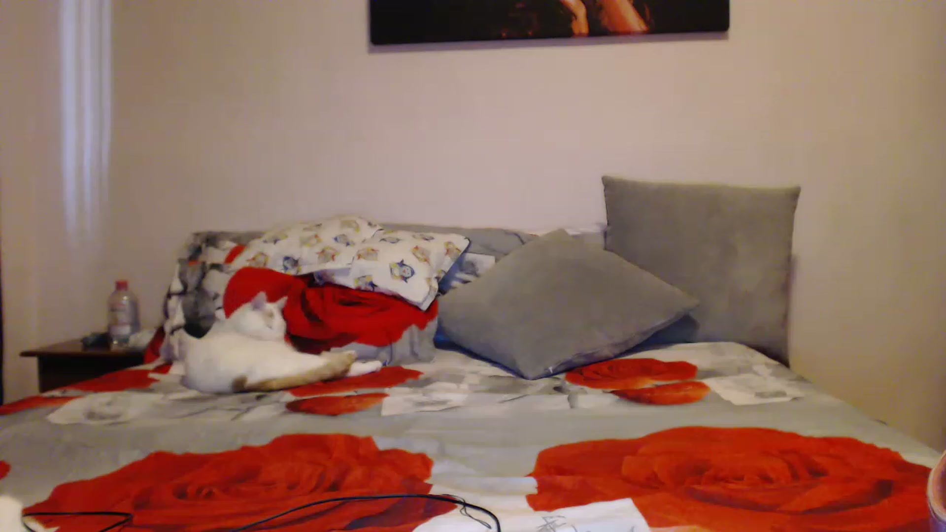 Gallery image thumbnail from Aahh_Emilia's myfreecams stream on, 03/22/2023, 15:22 image 13 of 20