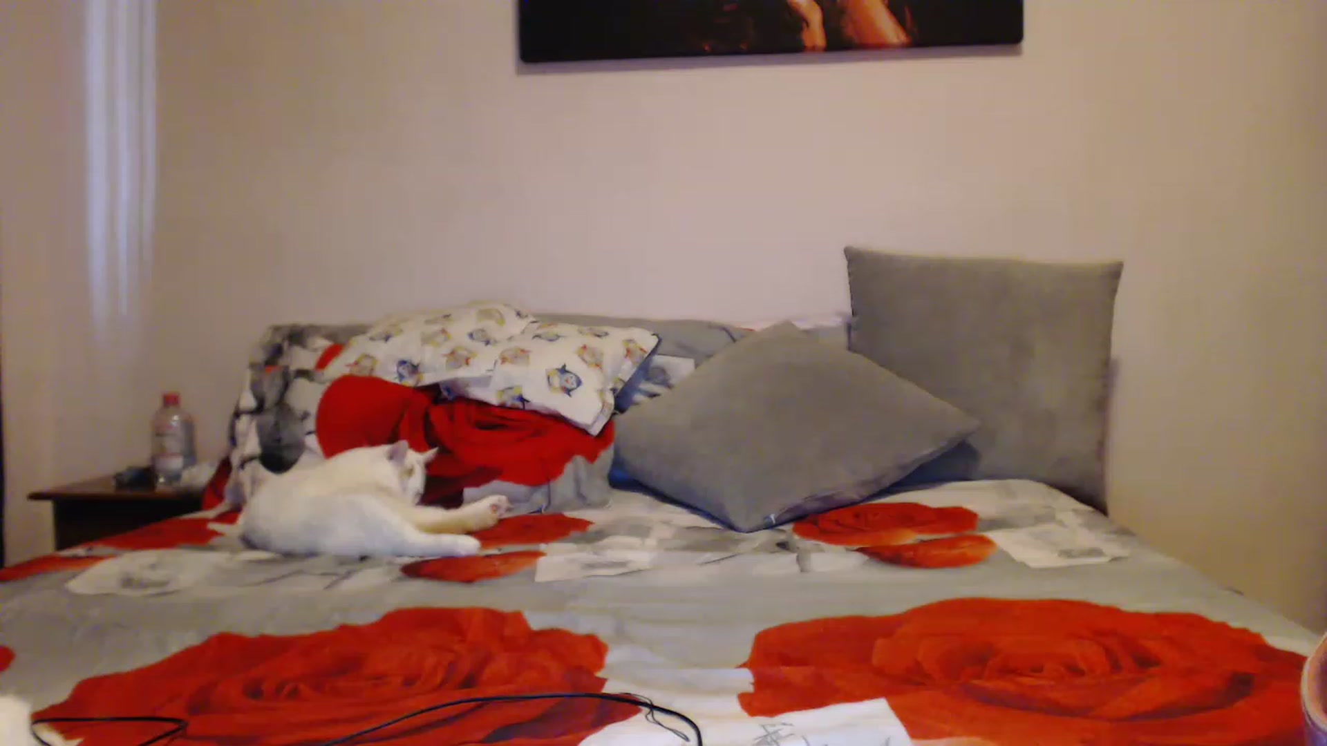 Gallery image thumbnail from Aahh_Emilia's myfreecams stream on, 03/22/2023, 15:22 image 15 of 20