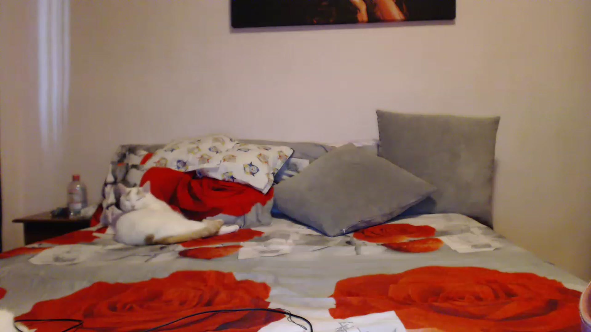 Gallery image thumbnail from Aahh_Emilia's myfreecams stream on, 03/22/2023, 15:22 image 14 of 20