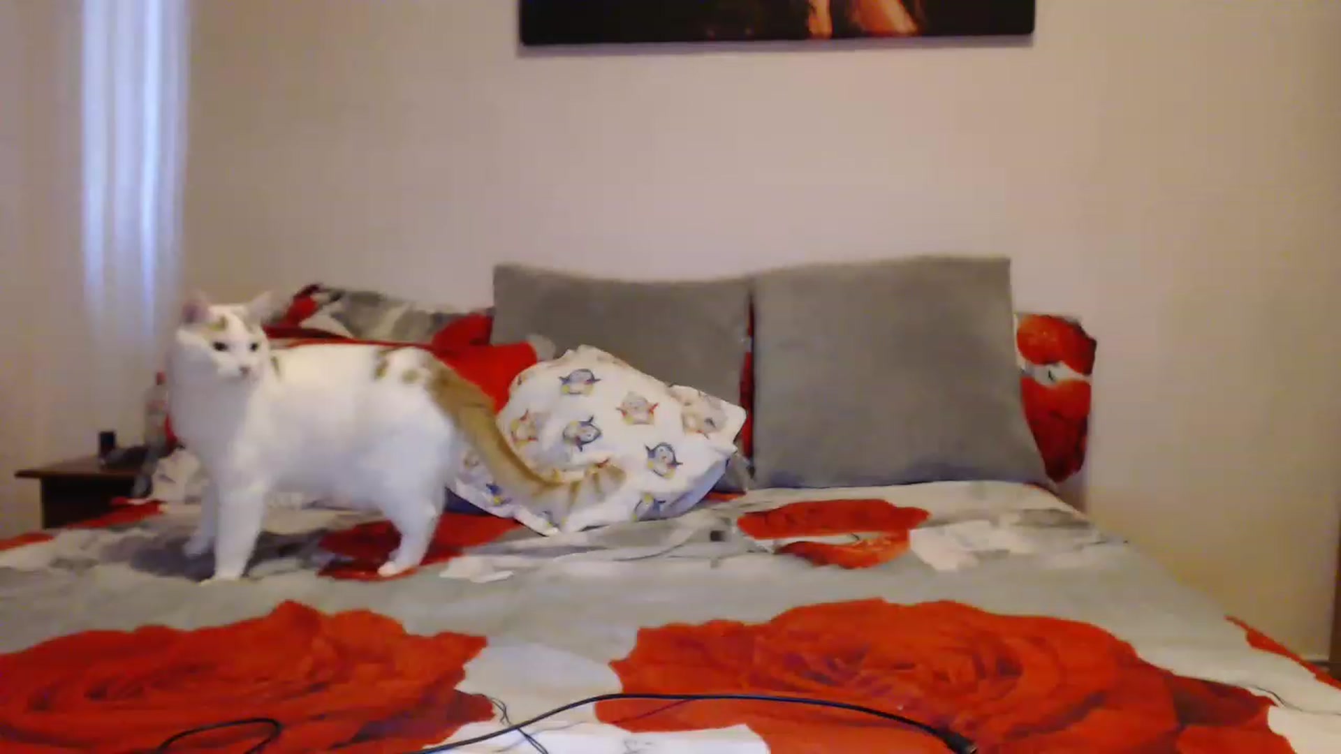 Gallery image thumbnail from Aahh_Emilia's myfreecams stream on, 03/24/2023, 15:30 image 9 of 20