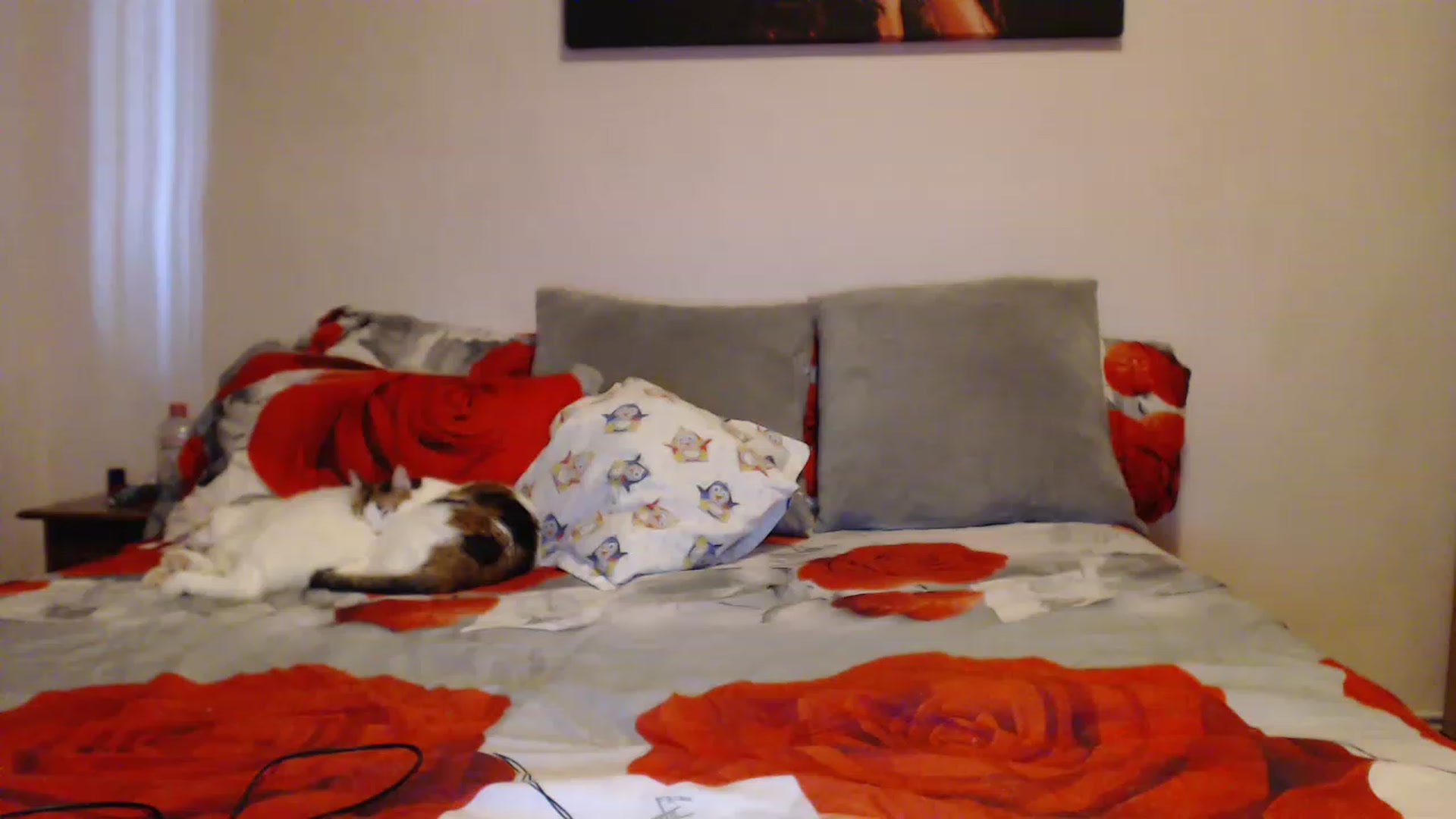 Gallery image thumbnail from Aahh_Emilia's myfreecams stream on, 03/24/2023, 15:30 image 19 of 20