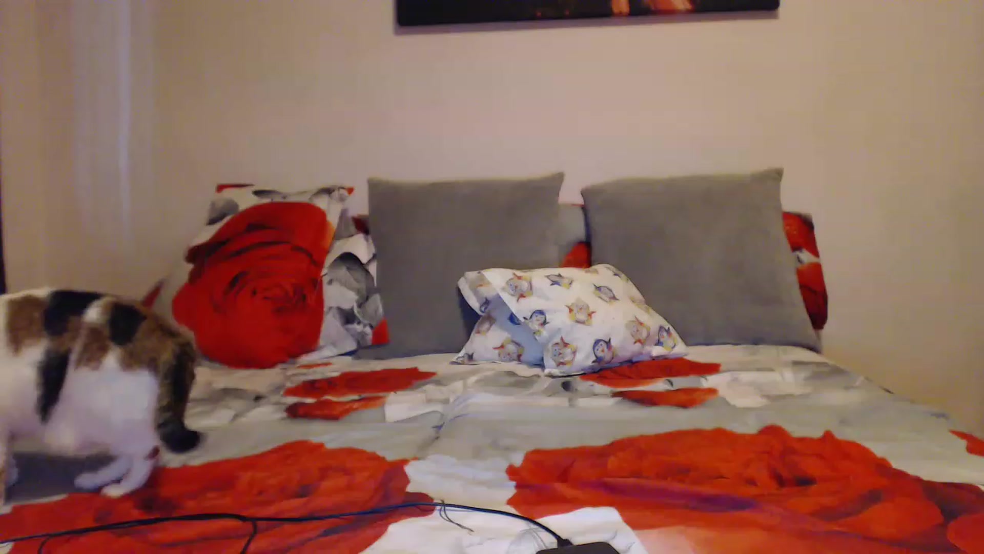 Gallery image thumbnail from Aahh_Emilia's myfreecams stream on, 03/25/2023, 15:22 image 18 of 20