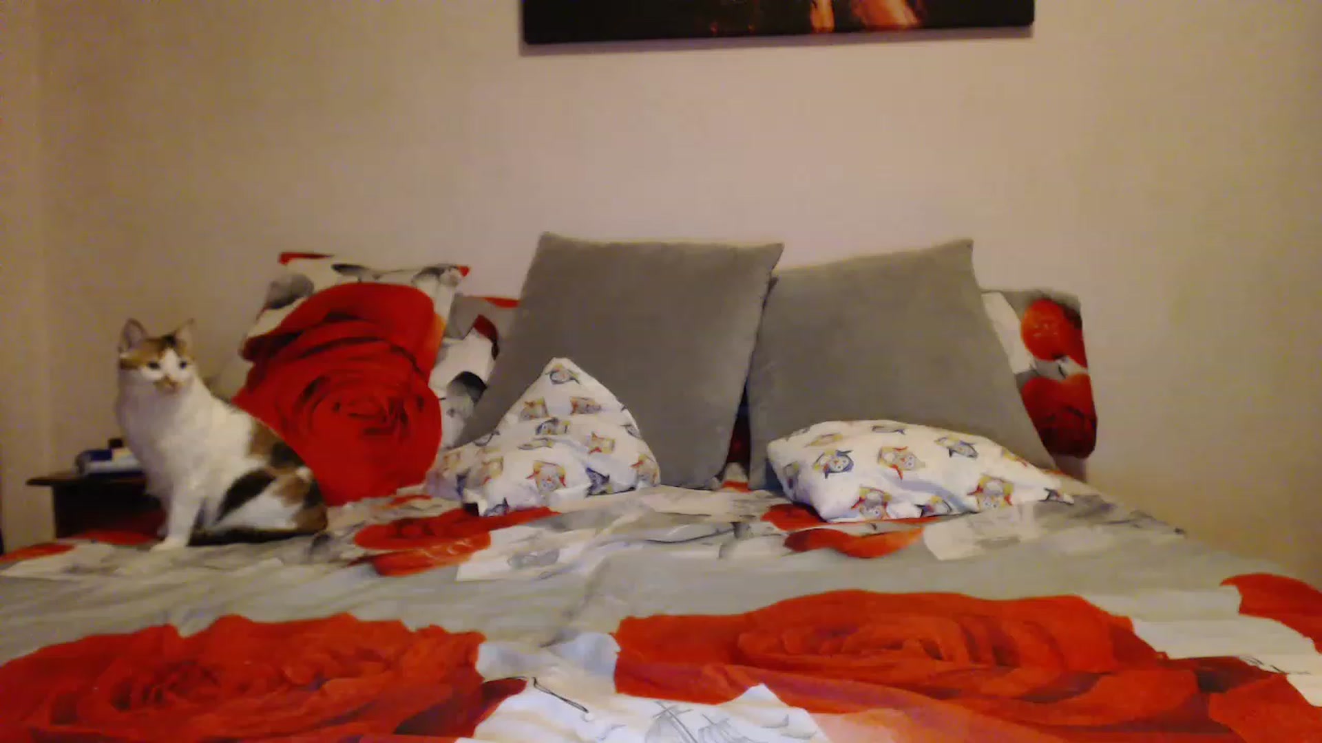Gallery image thumbnail from Aahh_Emilia's myfreecams stream on, 03/25/2023, 18:12 image 18 of 20