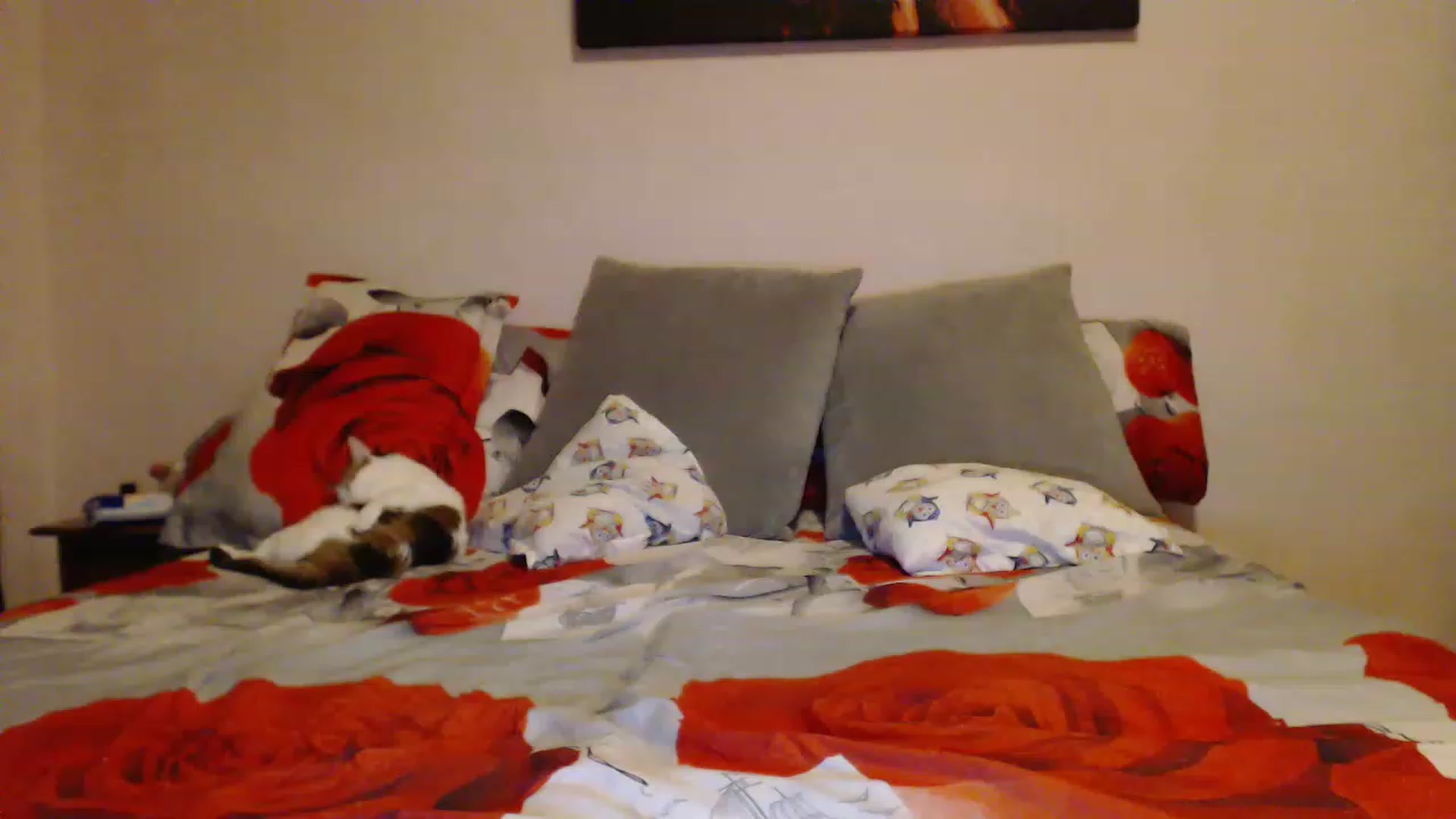 Gallery image thumbnail from Aahh_Emilia's myfreecams stream on, 03/25/2023, 18:12 image 17 of 20
