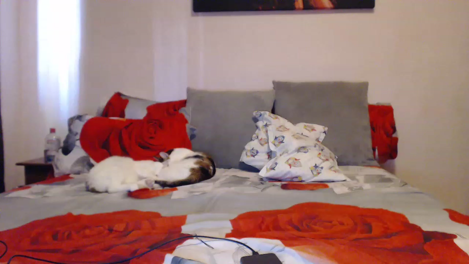 Gallery image thumbnail from Aahh_Emilia's myfreecams stream on, 03/26/2023, 14:51 image 17 of 20