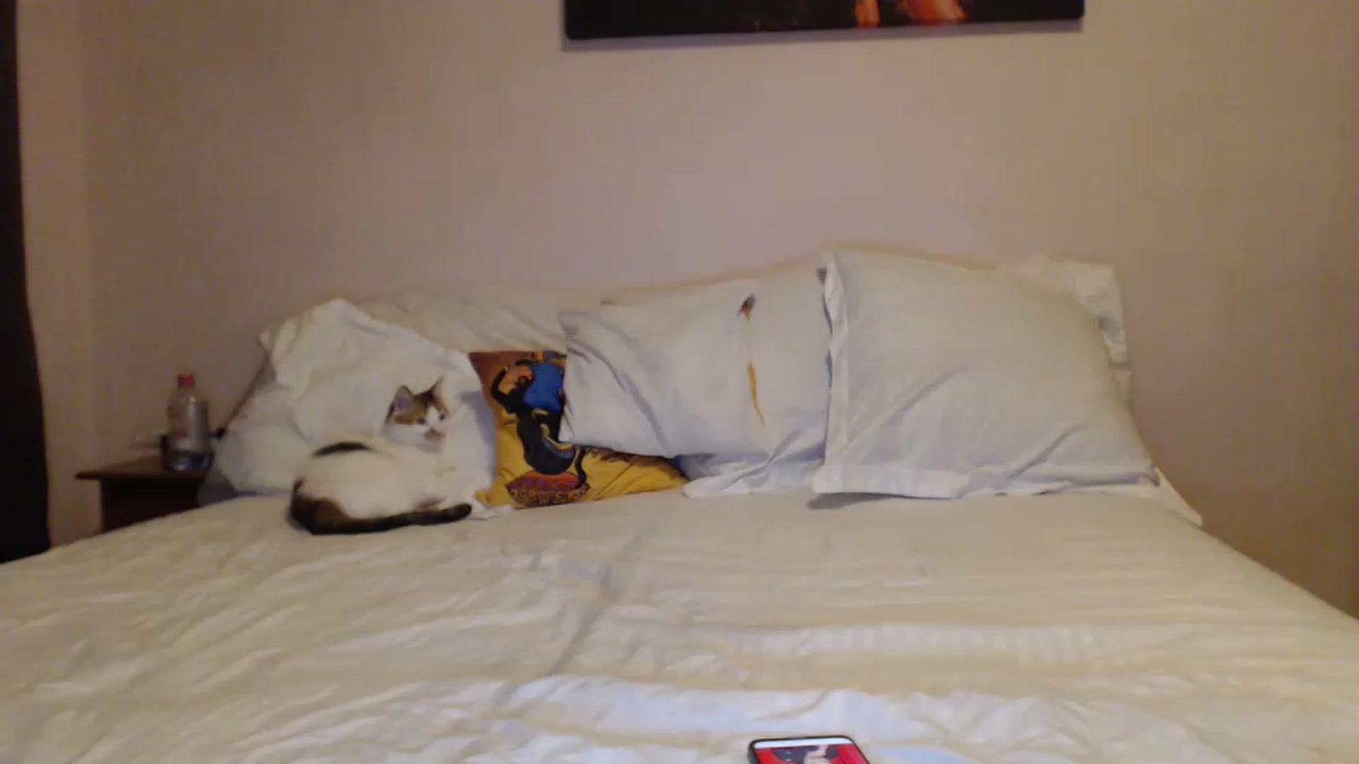 Gallery image thumbnail from Aahh_Emilia's myfreecams stream on, 03/27/2023, 17:08 image 15 of 20
