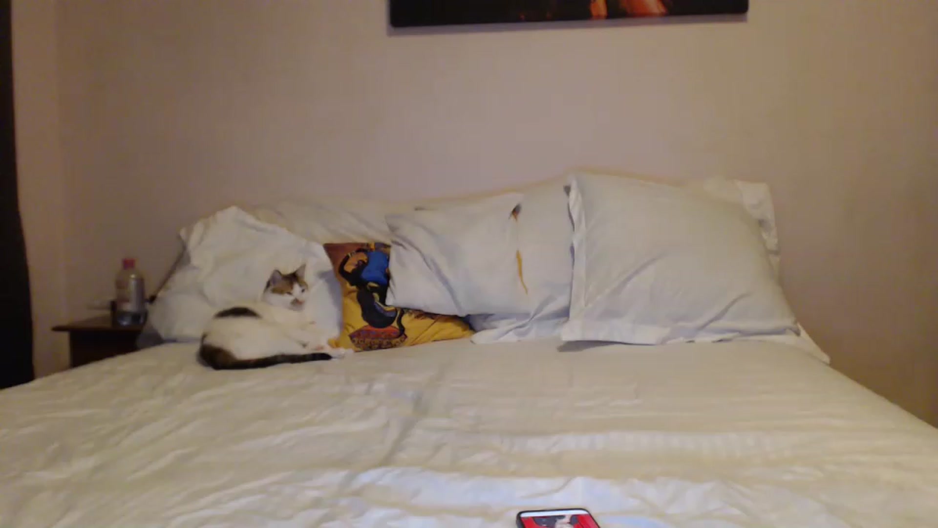 Gallery image thumbnail from Aahh_Emilia's myfreecams stream on, 03/27/2023, 17:08 image 16 of 20