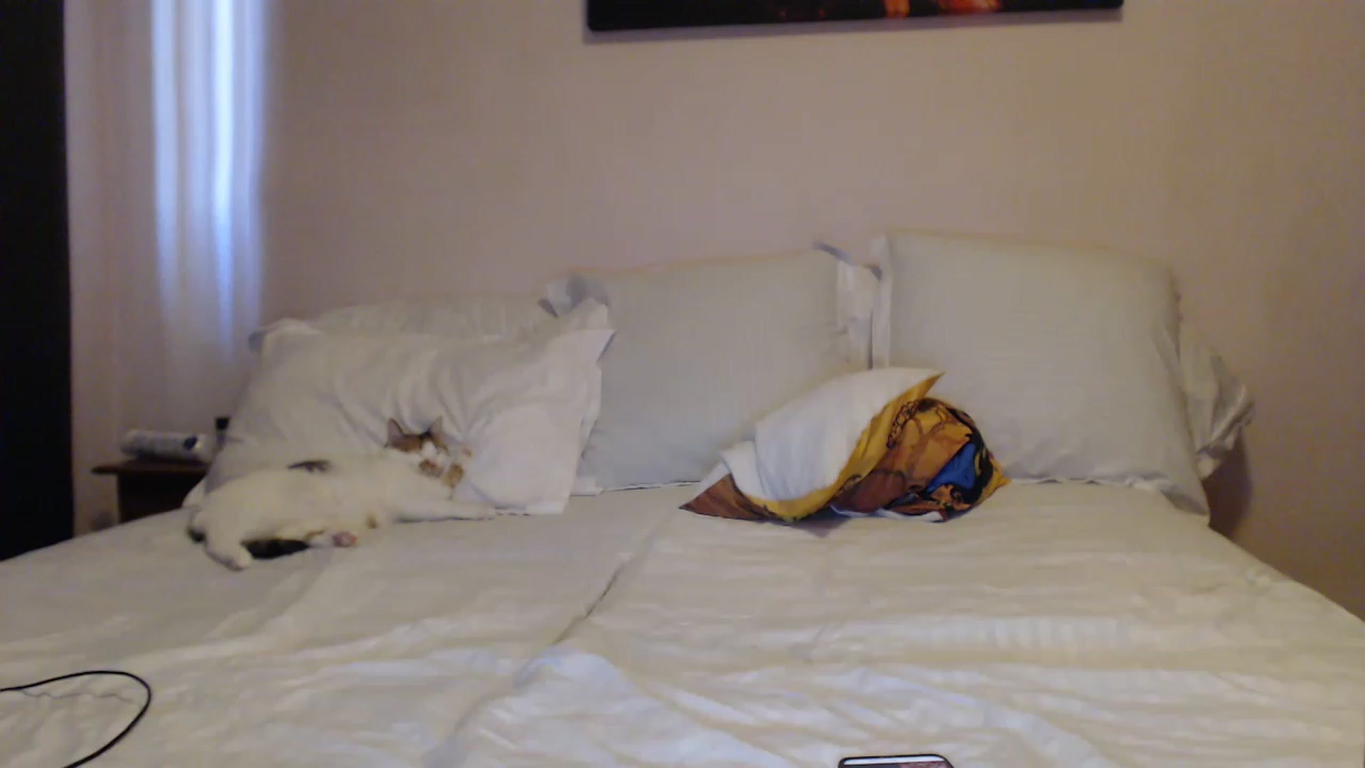 Gallery image thumbnail from Aahh_Emilia's myfreecams stream on, 03/30/2023, 15:19 image 14 of 20