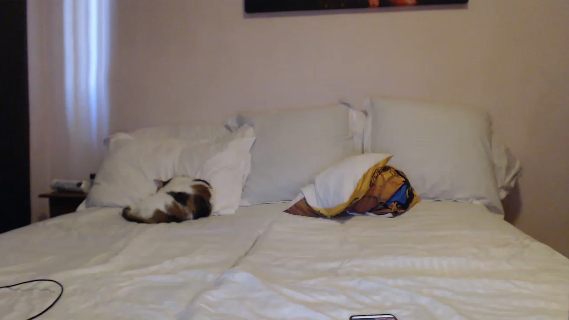 Gallery image thumbnail from Aahh_Emilia's myfreecams stream on, 03/30/2023, 15:19 image 16 of 20