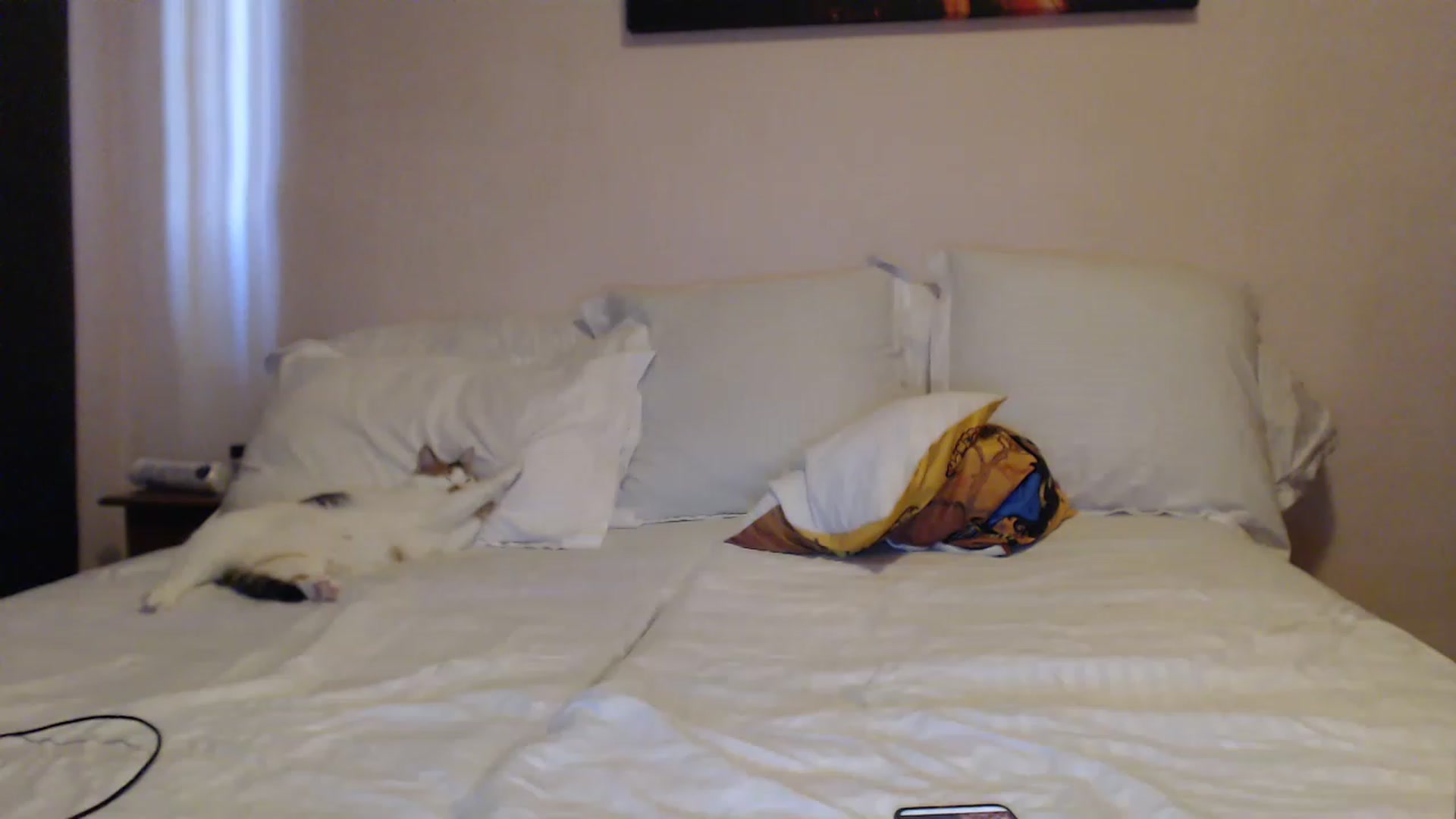 Gallery image thumbnail from Aahh_Emilia's myfreecams stream on, 03/30/2023, 15:19 image 15 of 20