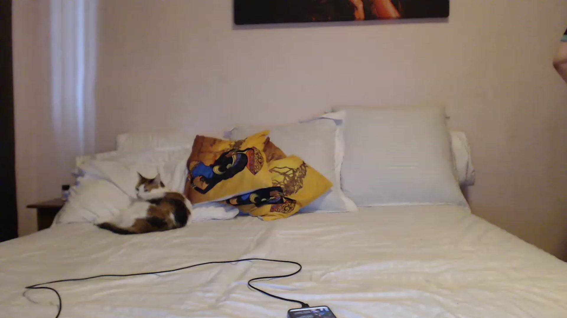 Gallery image thumbnail from Aahh_Emilia's myfreecams stream on, 03/31/2023, 15:22 image 9 of 20