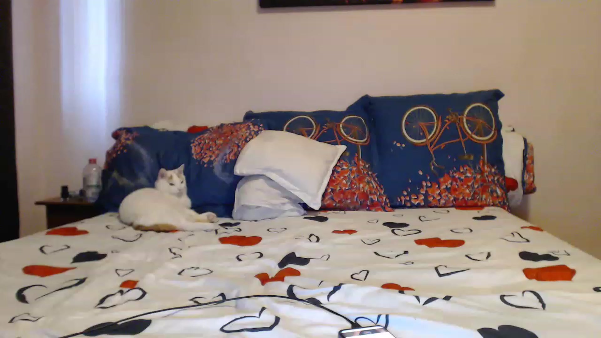 Gallery image thumbnail from Aahh_Emilia's myfreecams stream on, 04/06/2023, 15:10 image 6 of 20