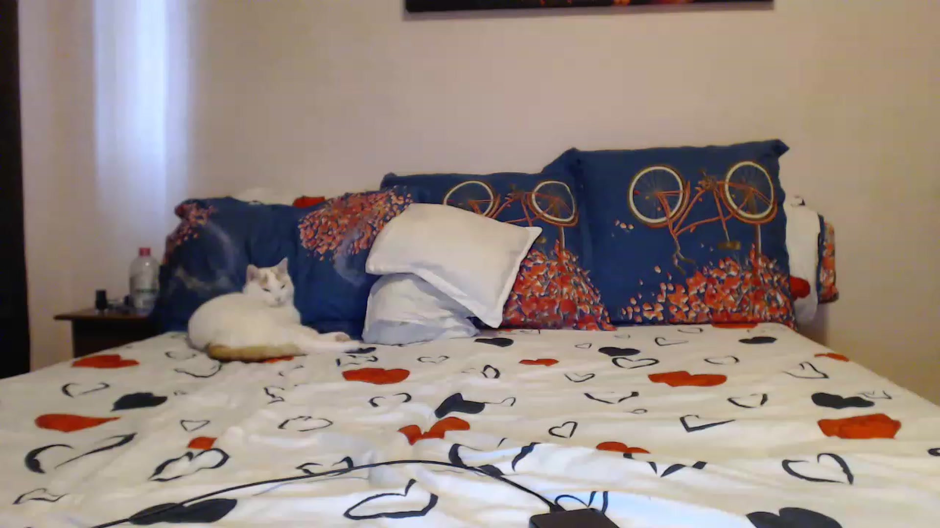 Gallery image thumbnail from Aahh_Emilia's myfreecams stream on, 04/06/2023, 15:10 image 10 of 20