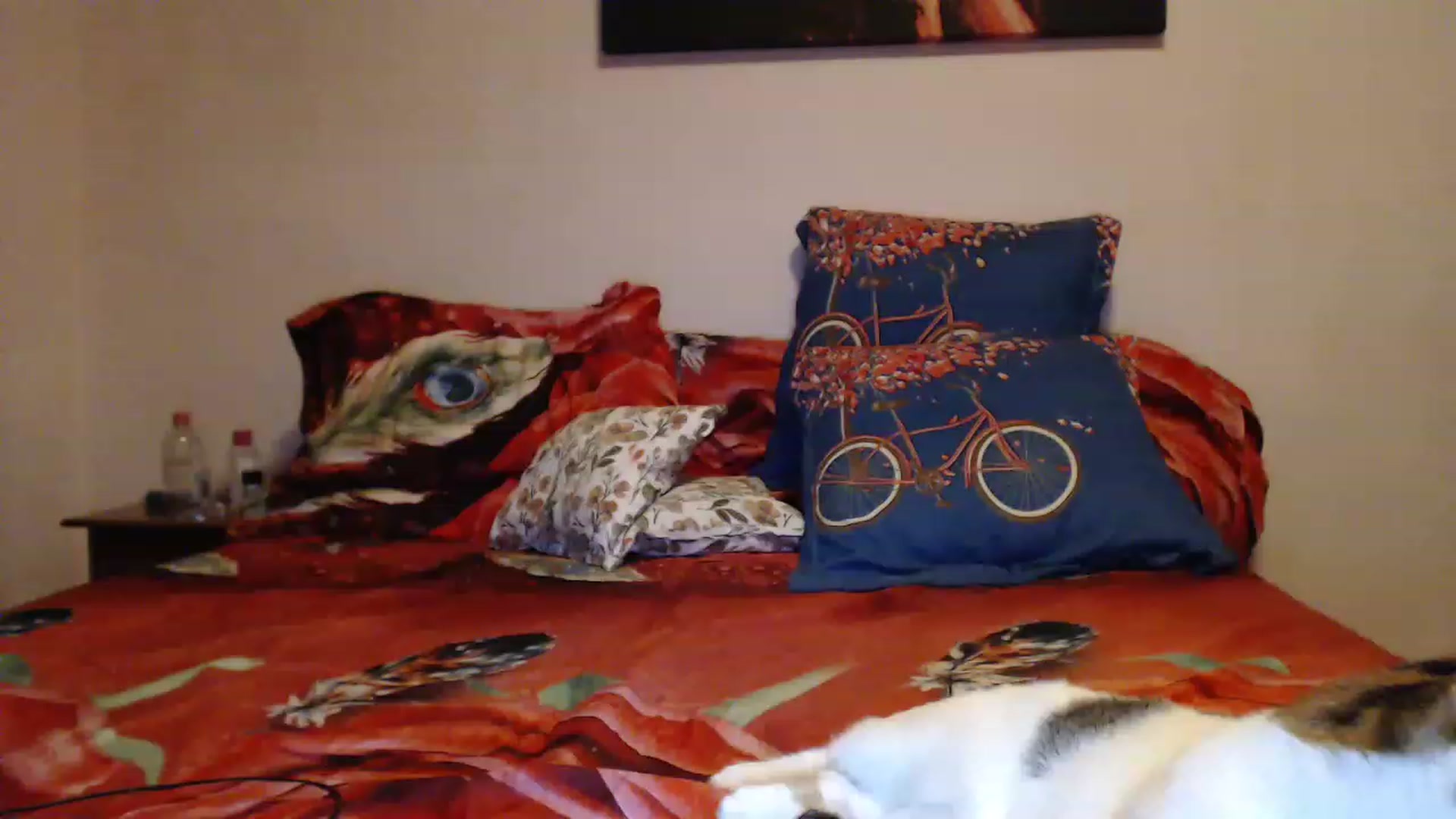 Gallery image thumbnail from Aahh_Emilia's myfreecams stream on, 04/07/2023, 18:10 image 15 of 20