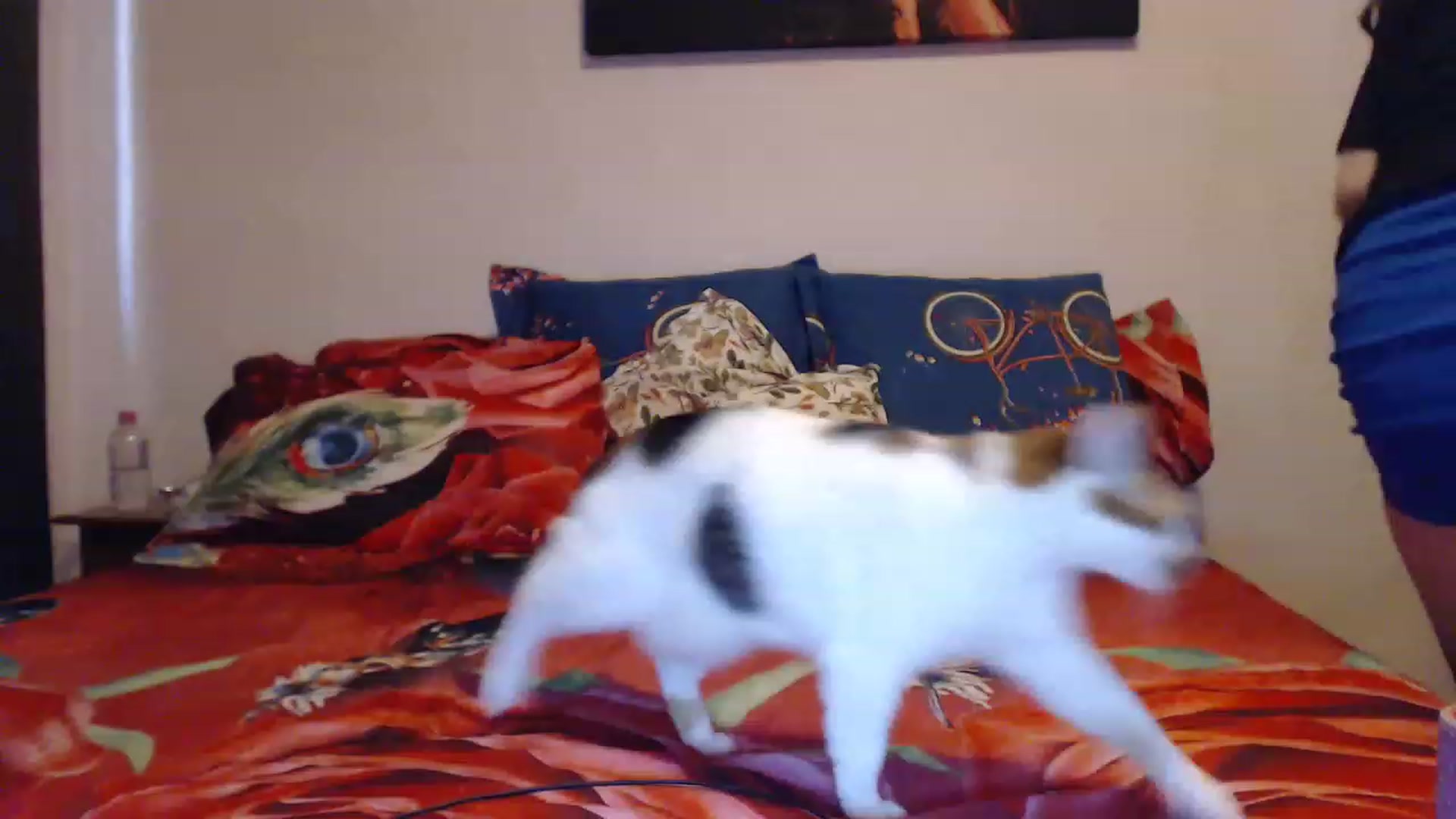 Gallery image thumbnail from Aahh_Emilia's myfreecams stream on, 04/09/2023, 15:40 image 12 of 20