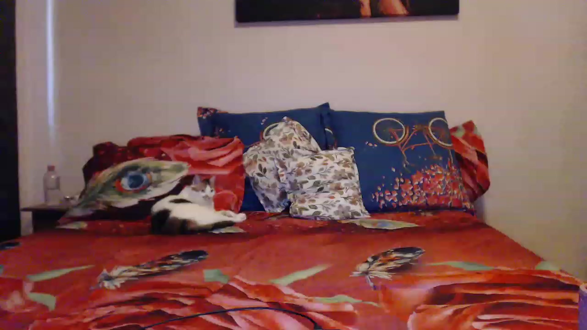 Gallery image thumbnail from Aahh_Emilia's myfreecams stream on, 04/09/2023, 15:40 image 19 of 20