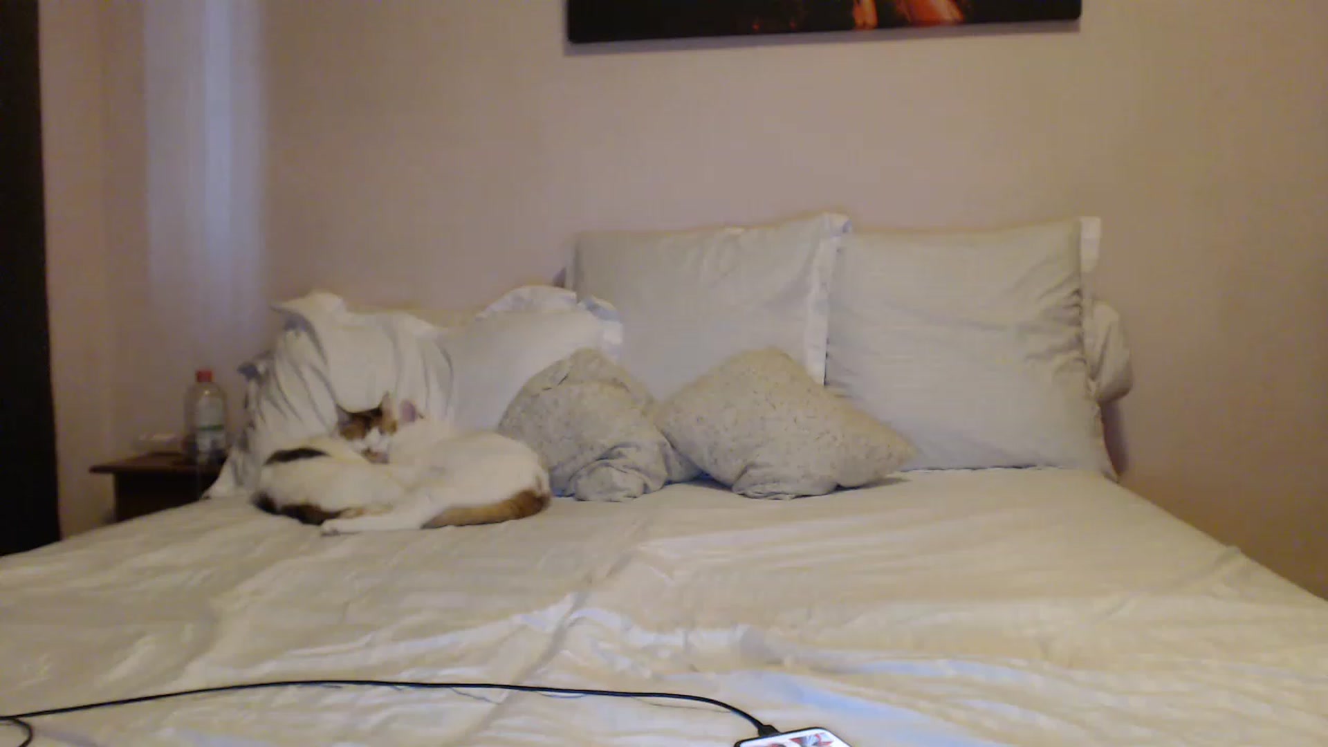 Gallery image thumbnail from Aahh_Emilia's myfreecams stream on, 04/12/2023, 15:27 image 16 of 20