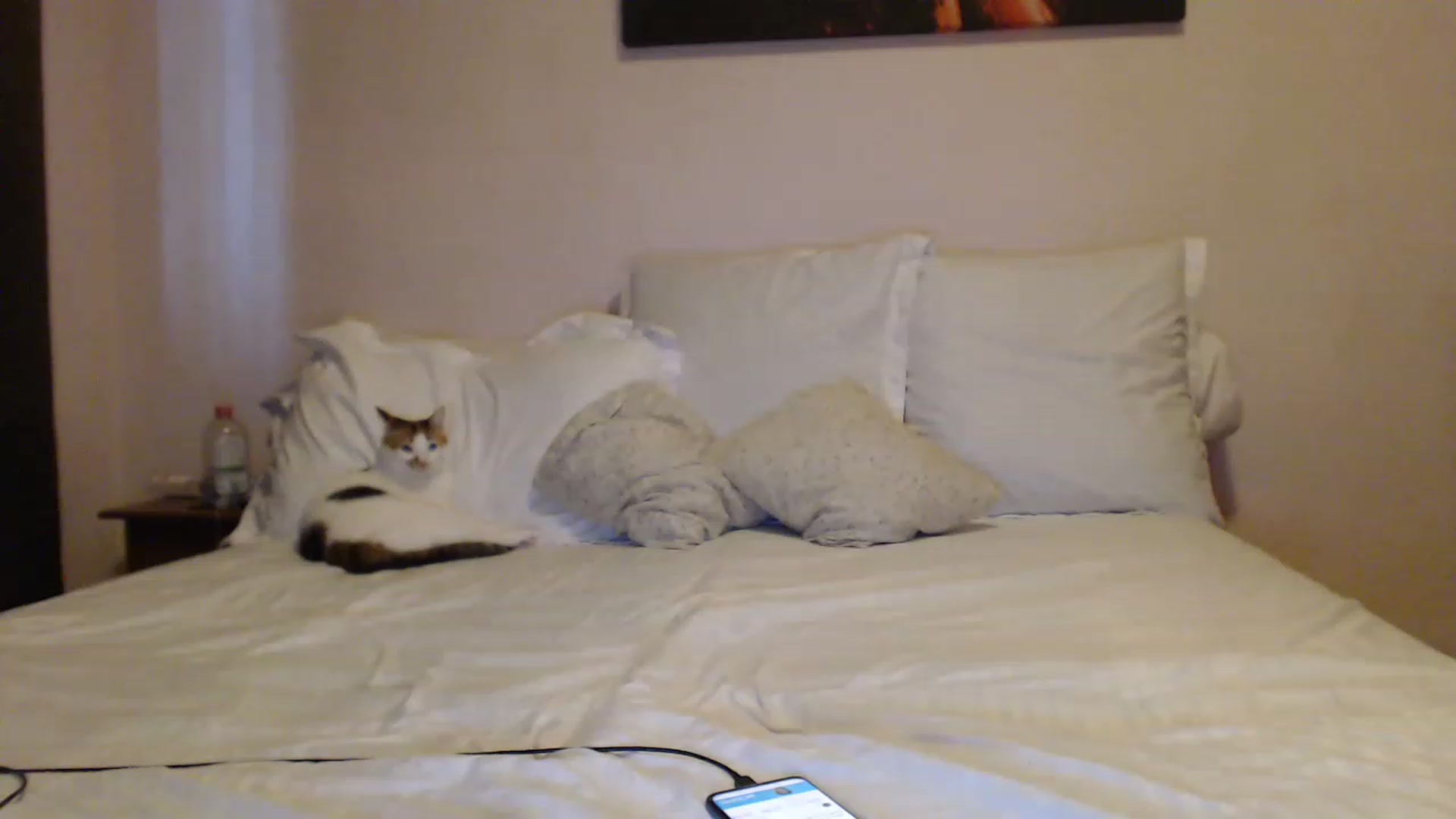 Gallery image thumbnail from Aahh_Emilia's myfreecams stream on, 04/12/2023, 15:27 image 11 of 20