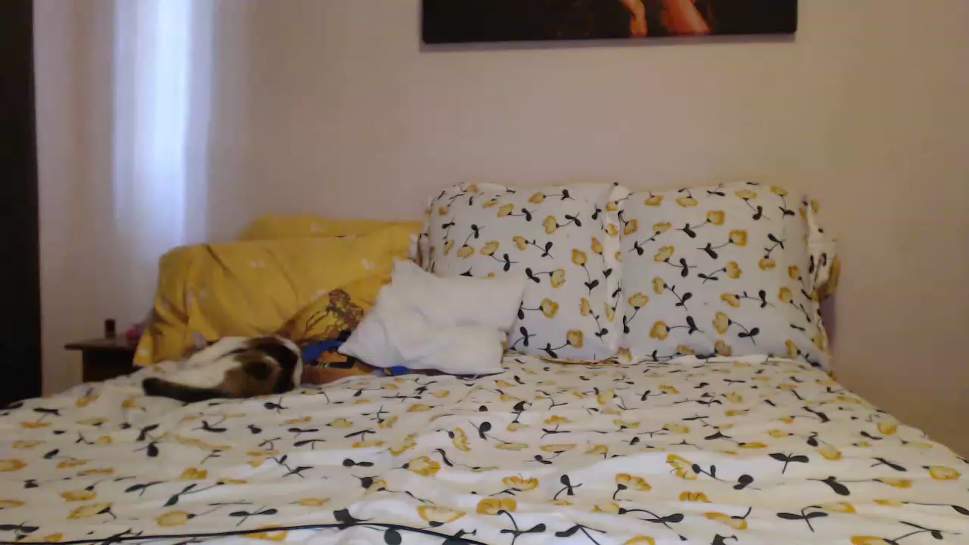 Gallery image thumbnail from Aahh_Emilia's myfreecams stream on, 04/19/2023, 14:44 image 13 of 20