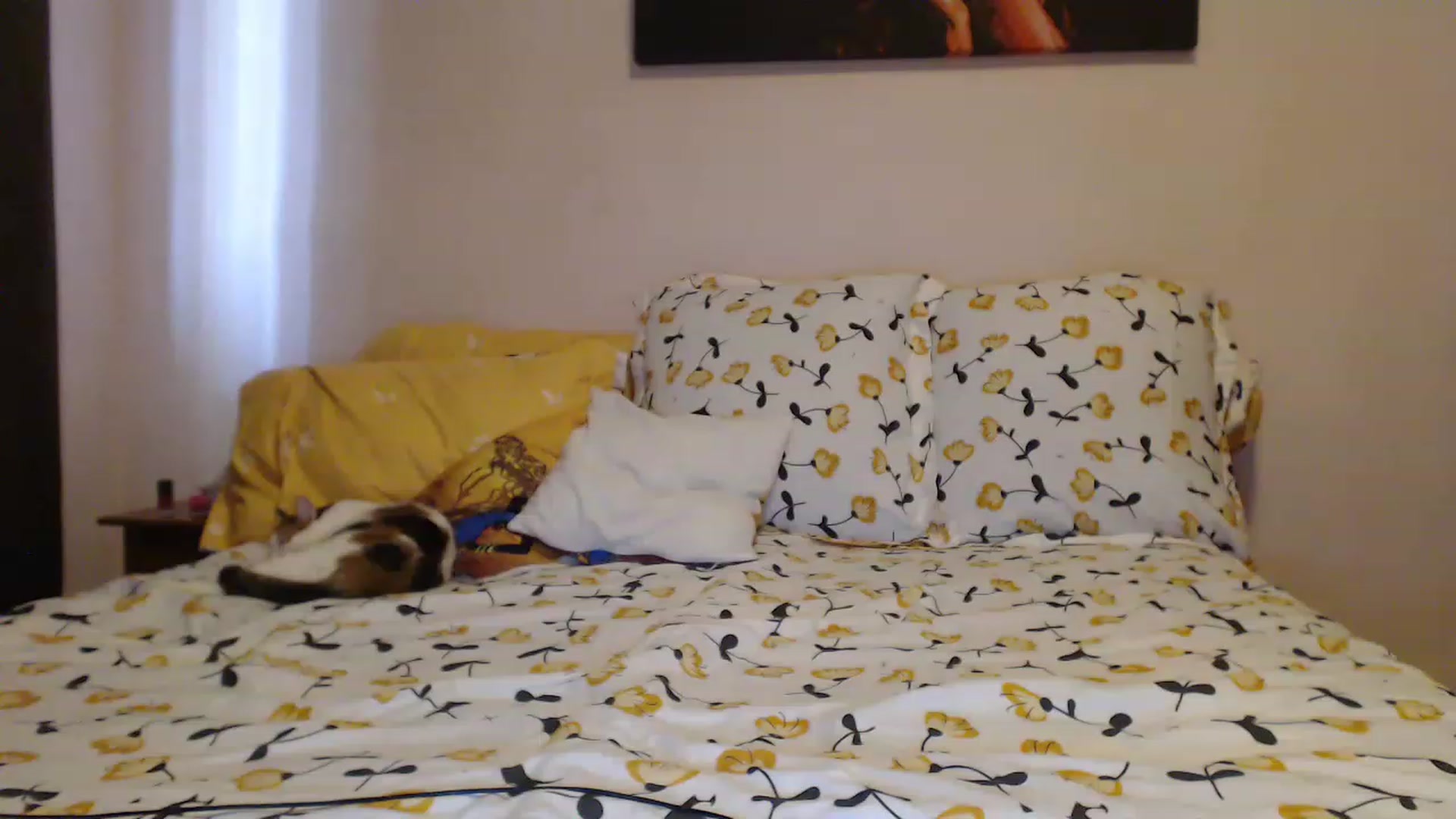 Gallery image thumbnail from Aahh_Emilia's myfreecams stream on, 04/19/2023, 14:44 image 12 of 20