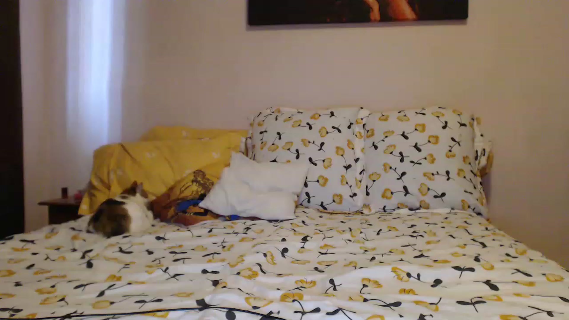 Gallery image thumbnail from Aahh_Emilia's myfreecams stream on, 04/19/2023, 14:44 image 14 of 20