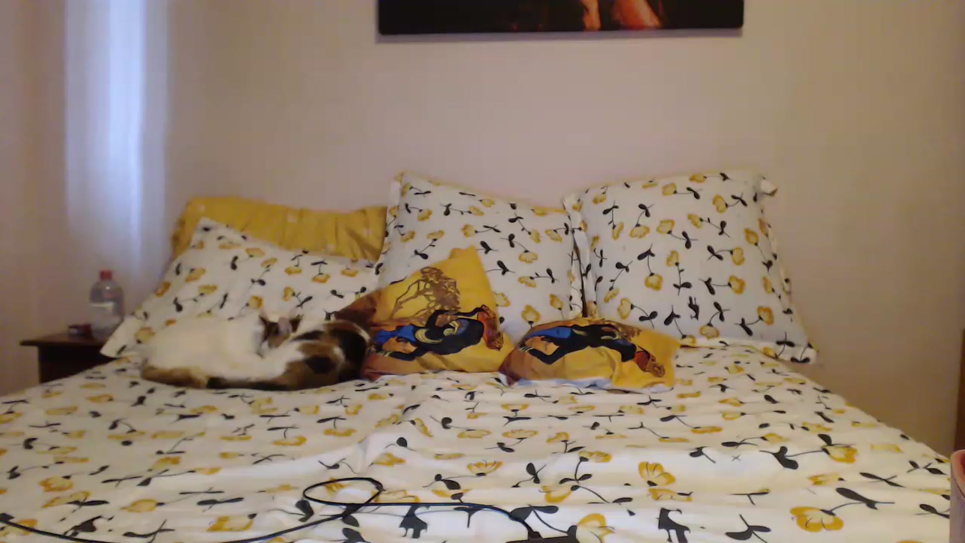 Gallery image thumbnail from Aahh_Emilia's myfreecams stream on, 04/20/2023, 14:42 image 14 of 20