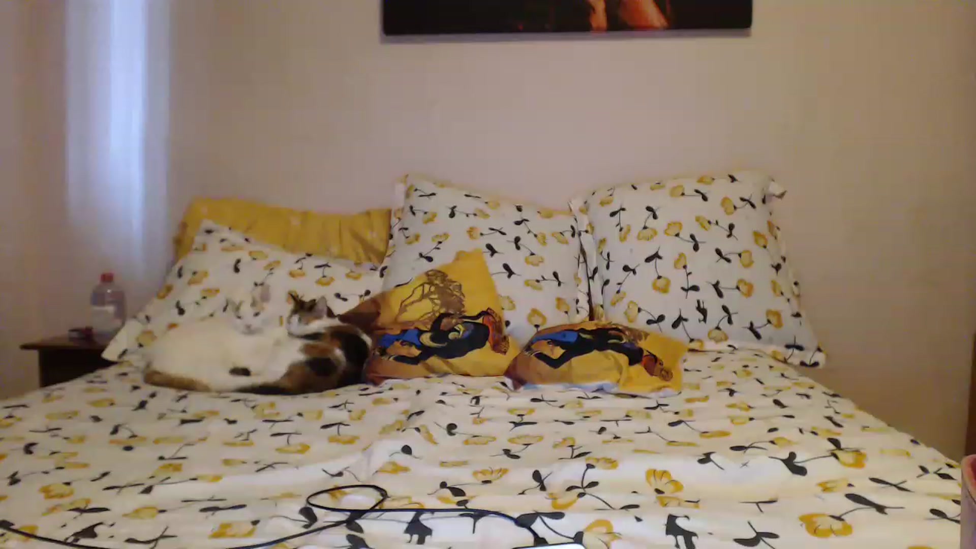 Gallery image thumbnail from Aahh_Emilia's myfreecams stream on, 04/20/2023, 14:42 image 10 of 20