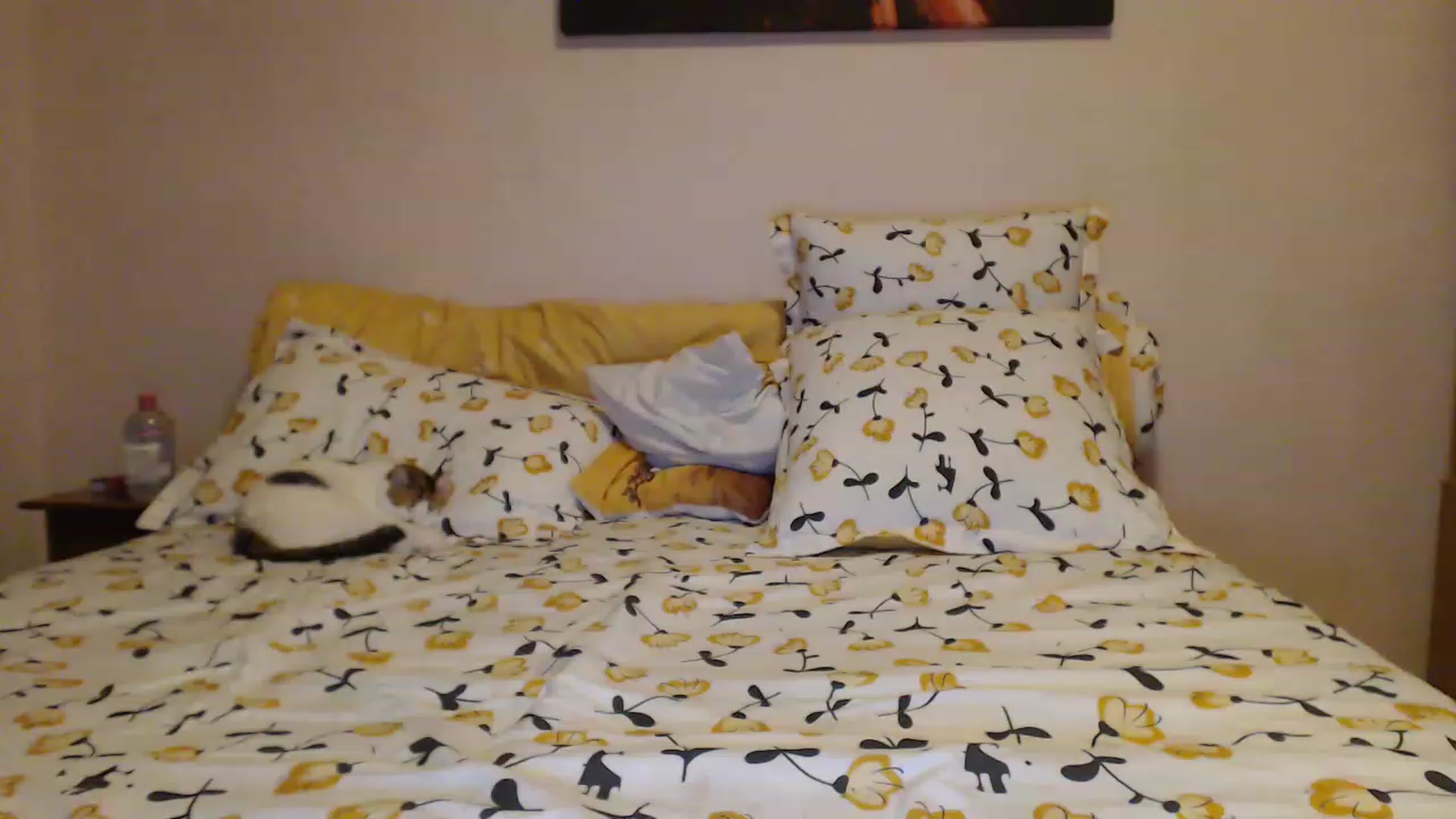 Gallery image thumbnail from Aahh_Emilia's myfreecams stream on, 04/20/2023, 17:52 image 7 of 20