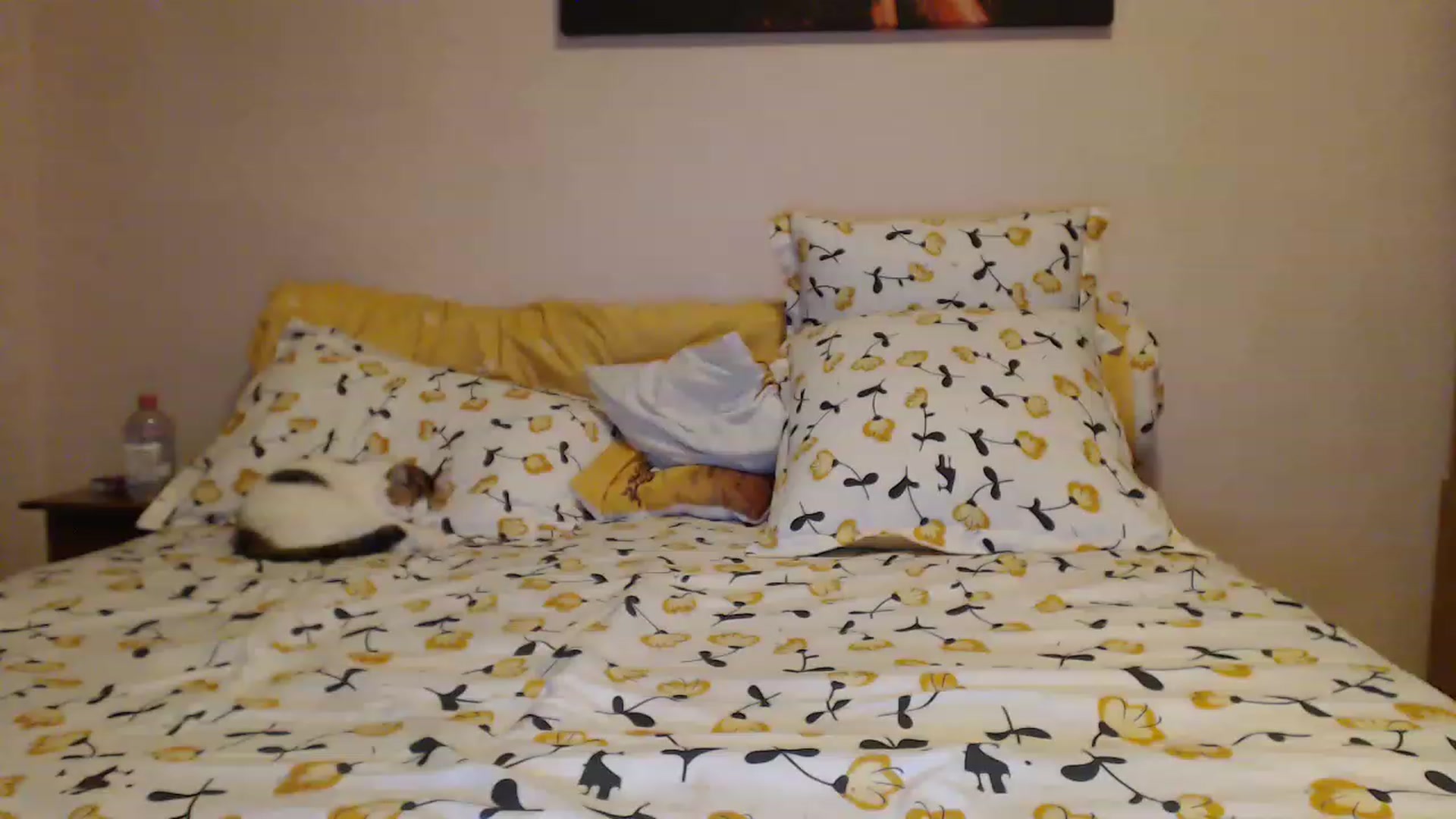 Gallery image thumbnail from Aahh_Emilia's myfreecams stream on, 04/20/2023, 17:52 image 6 of 20