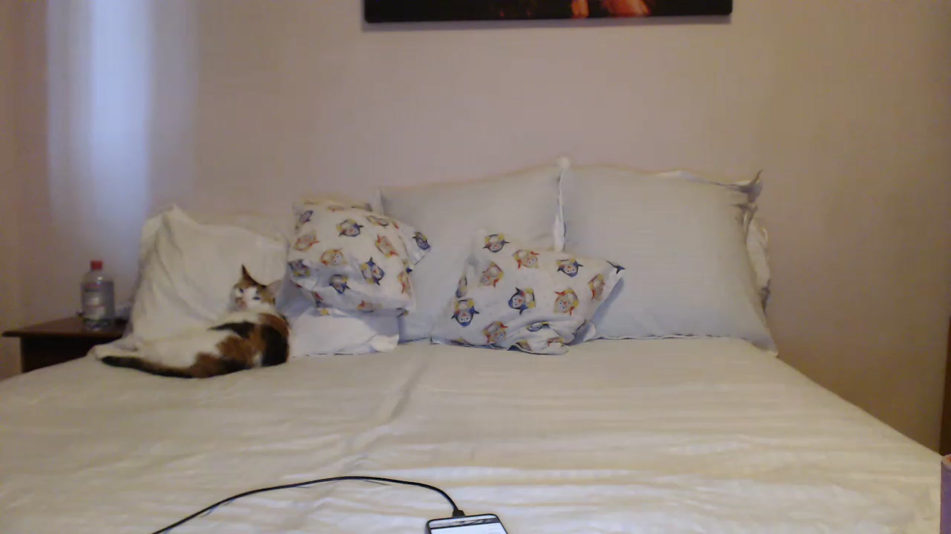Gallery image thumbnail from Aahh_Emilia's myfreecams stream on, 04/21/2023, 15:03 image 6 of 20