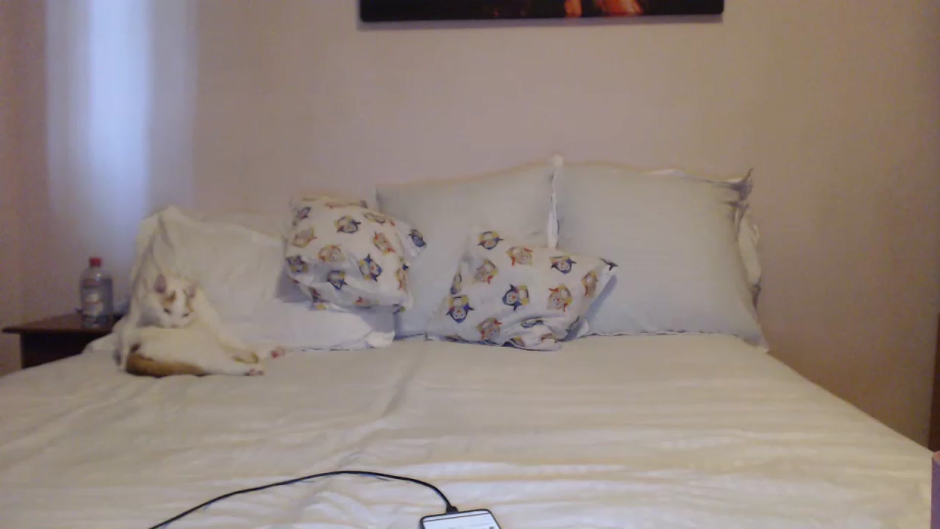Gallery image thumbnail from Aahh_Emilia's myfreecams stream on, 04/21/2023, 15:03 image 14 of 20