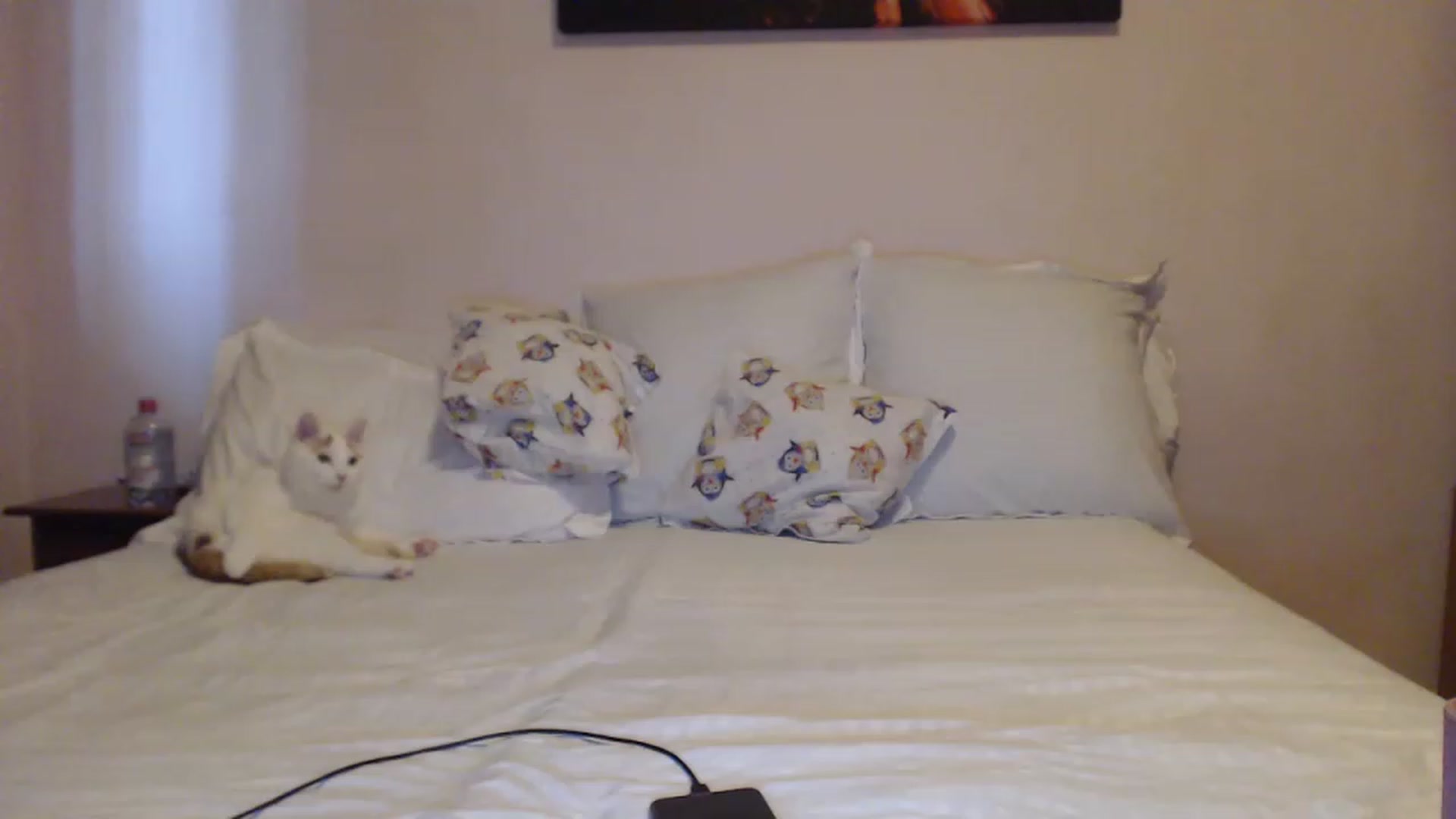 Gallery image thumbnail from Aahh_Emilia's myfreecams stream on, 04/21/2023, 15:03 image 15 of 20