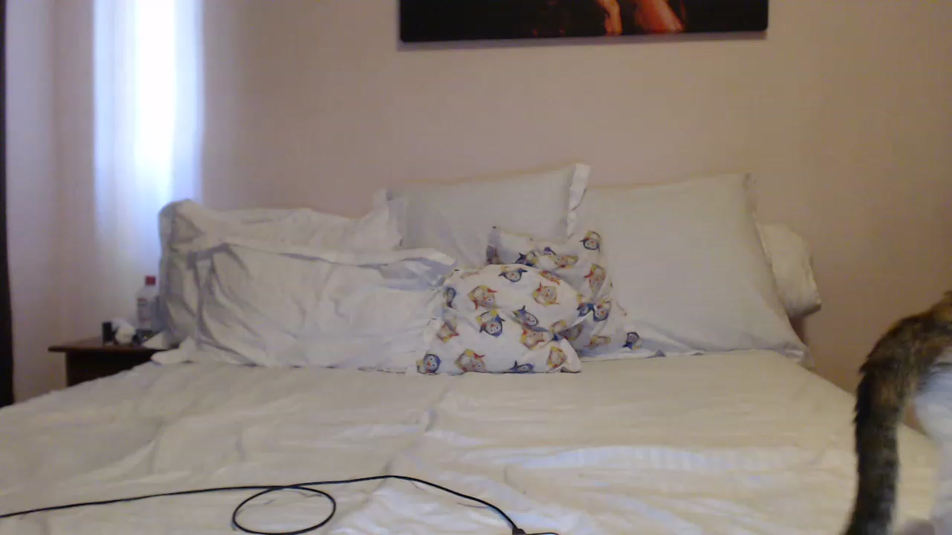 Gallery image thumbnail from Aahh_Emilia's myfreecams stream on, 04/24/2023, 14:17 image 8 of 20