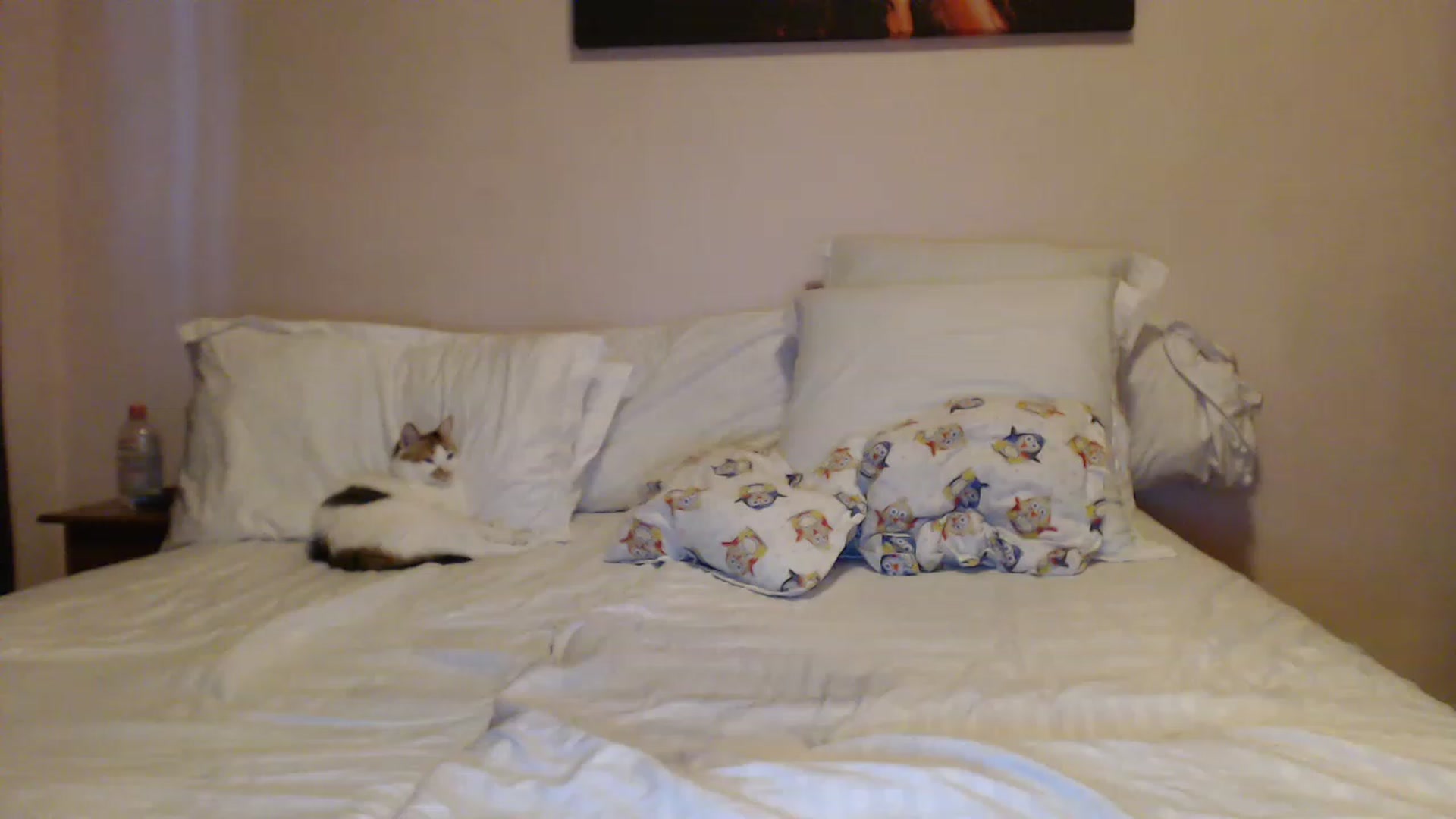 Gallery image thumbnail from Aahh_Emilia's myfreecams stream on, 04/26/2023, 16:58 image 19 of 20