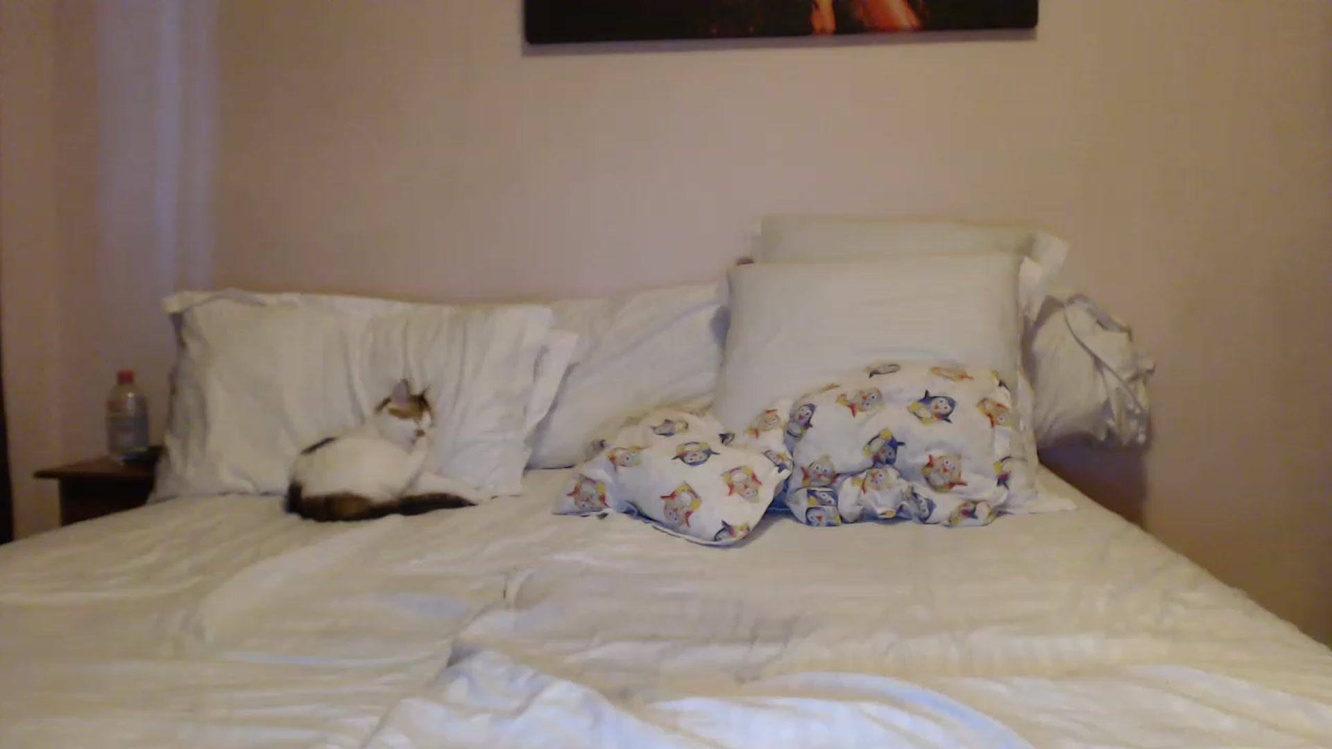 Gallery image thumbnail from Aahh_Emilia's myfreecams stream on, 04/26/2023, 16:58 image 18 of 20