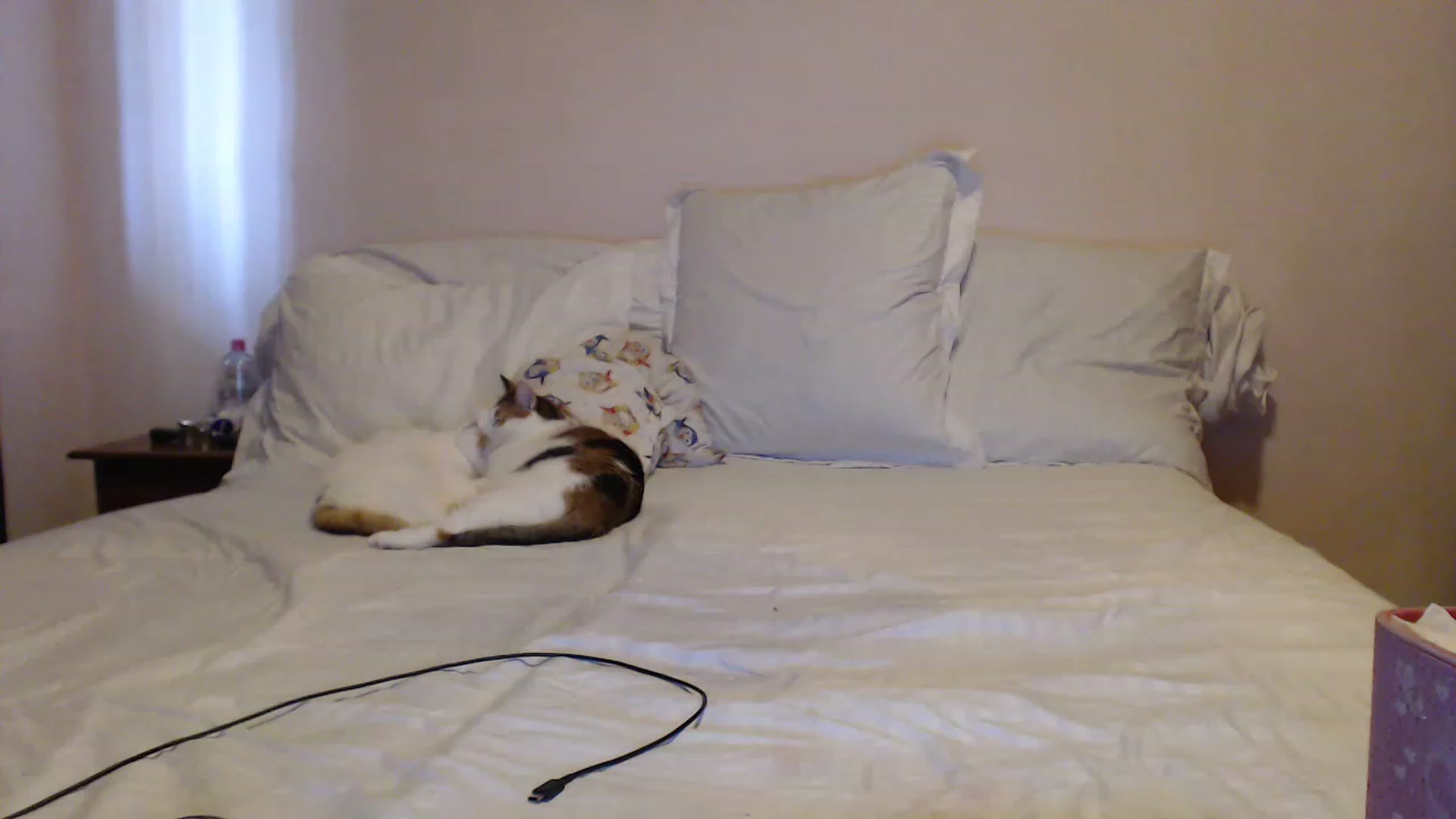 Gallery image thumbnail from Aahh_Emilia's myfreecams stream on, 04/27/2023, 15:08 image 1 of 20
