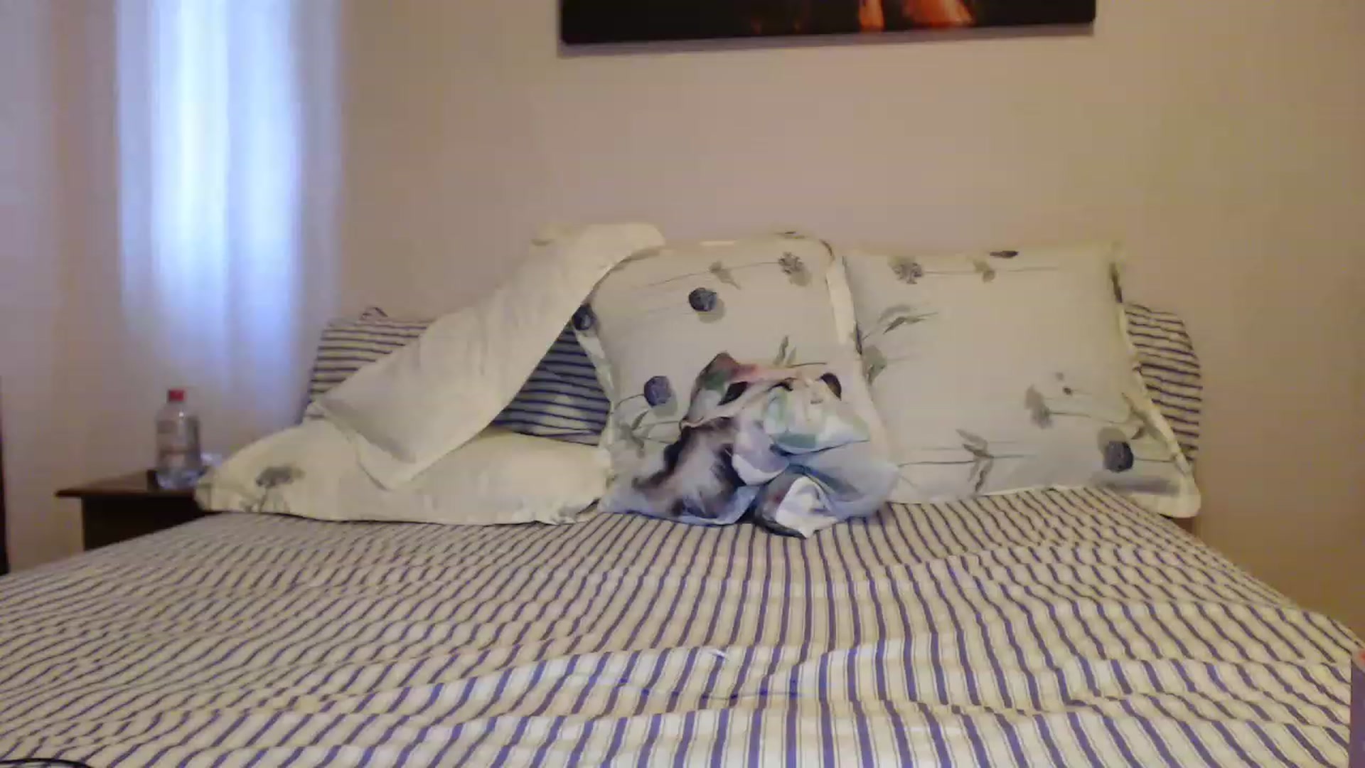 Gallery image thumbnail from Aahh_Emilia's myfreecams stream on, 04/28/2023, 16:26 image 12 of 20