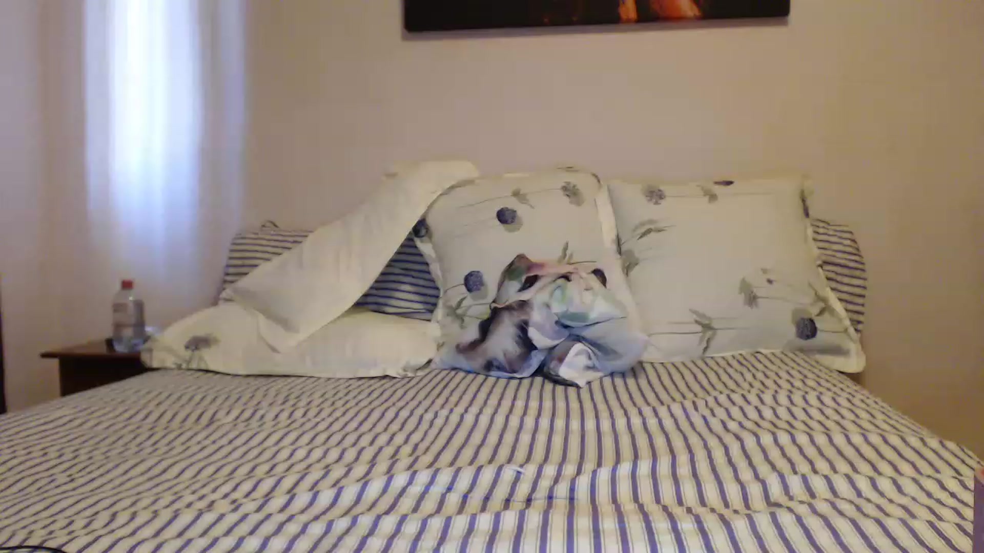 Gallery image thumbnail from Aahh_Emilia's myfreecams stream on, 04/28/2023, 16:26 image 16 of 20