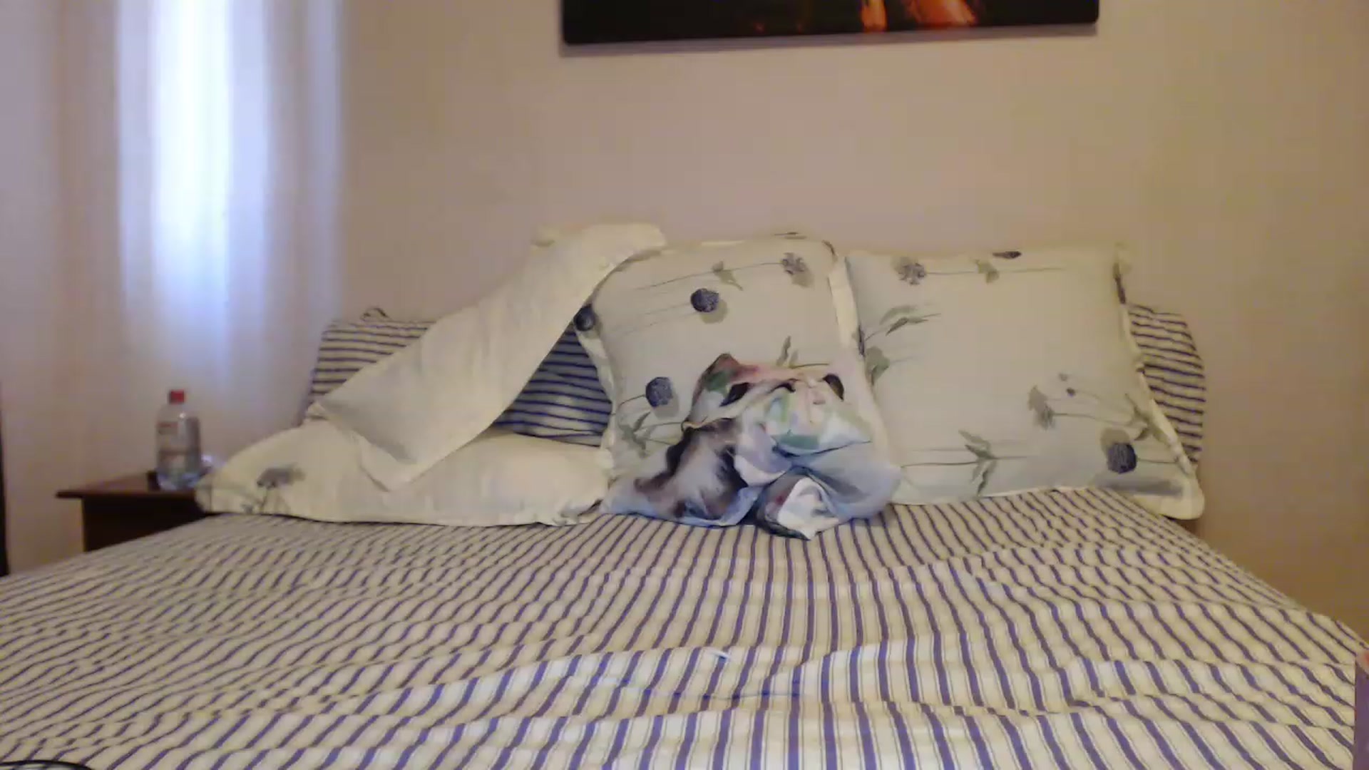 Gallery image thumbnail from Aahh_Emilia's myfreecams stream on, 04/28/2023, 16:26 image 14 of 20